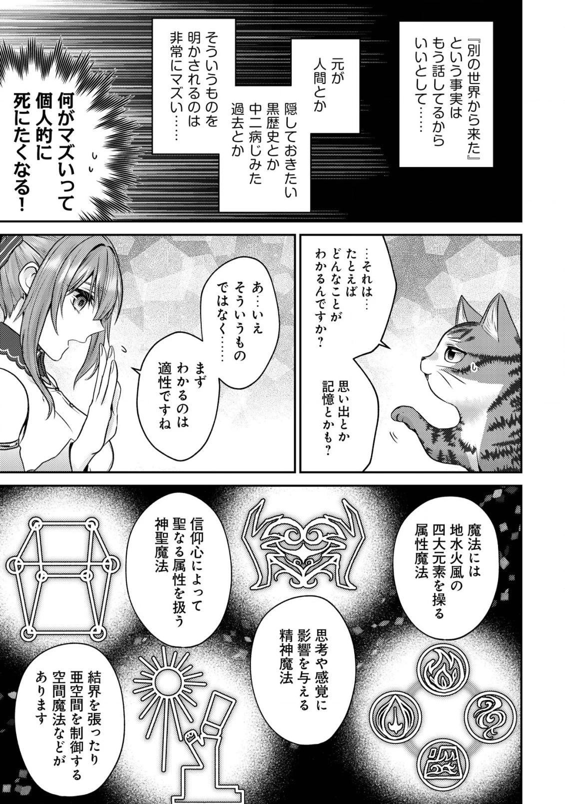 我輩は猫魔導師である～キジトラ・ルークの快適チート猫生活～ 第5話 - 19