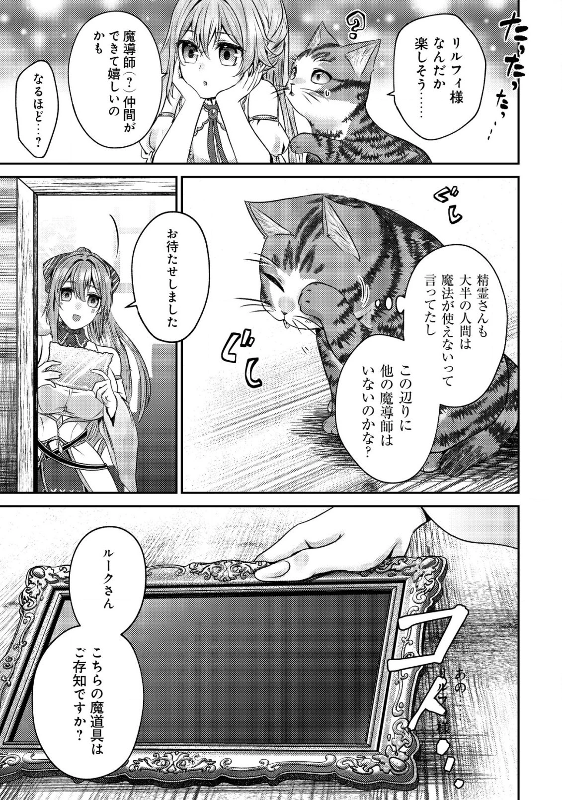 我輩は猫魔導師である～キジトラ・ルークの快適チート猫生活～ 第5話 - 21