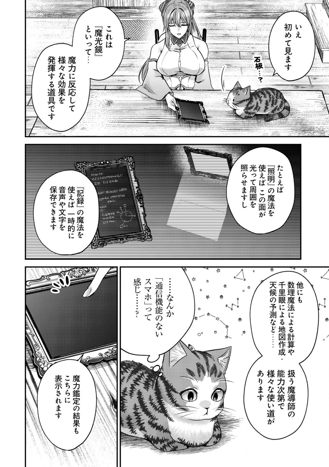 我輩は猫魔導師である～キジトラ・ルークの快適チート猫生活～ 第5話 - 22