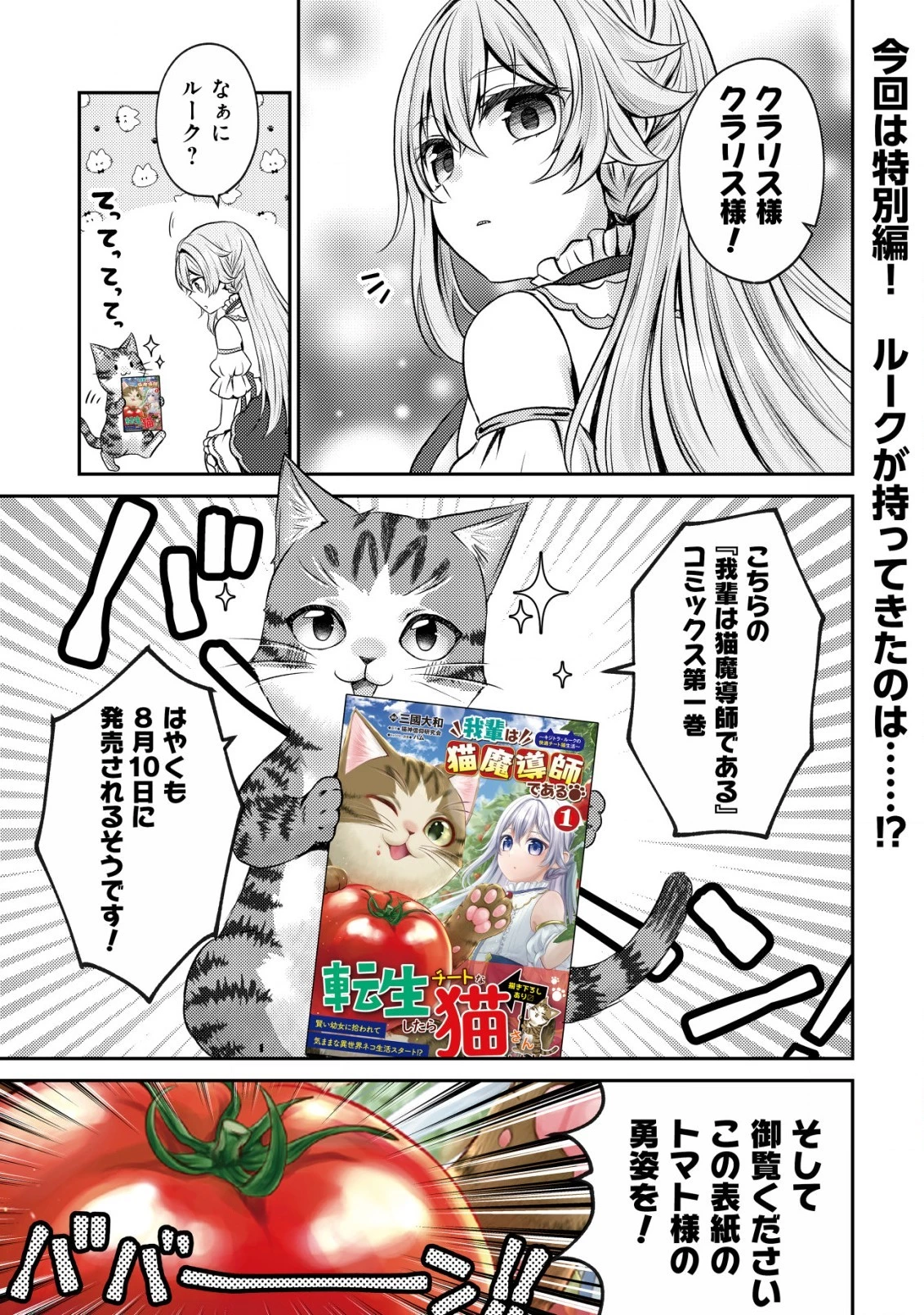 我輩は猫魔導師である～キジトラ・ルークの快適チート猫生活～ 第5.5話 - 1