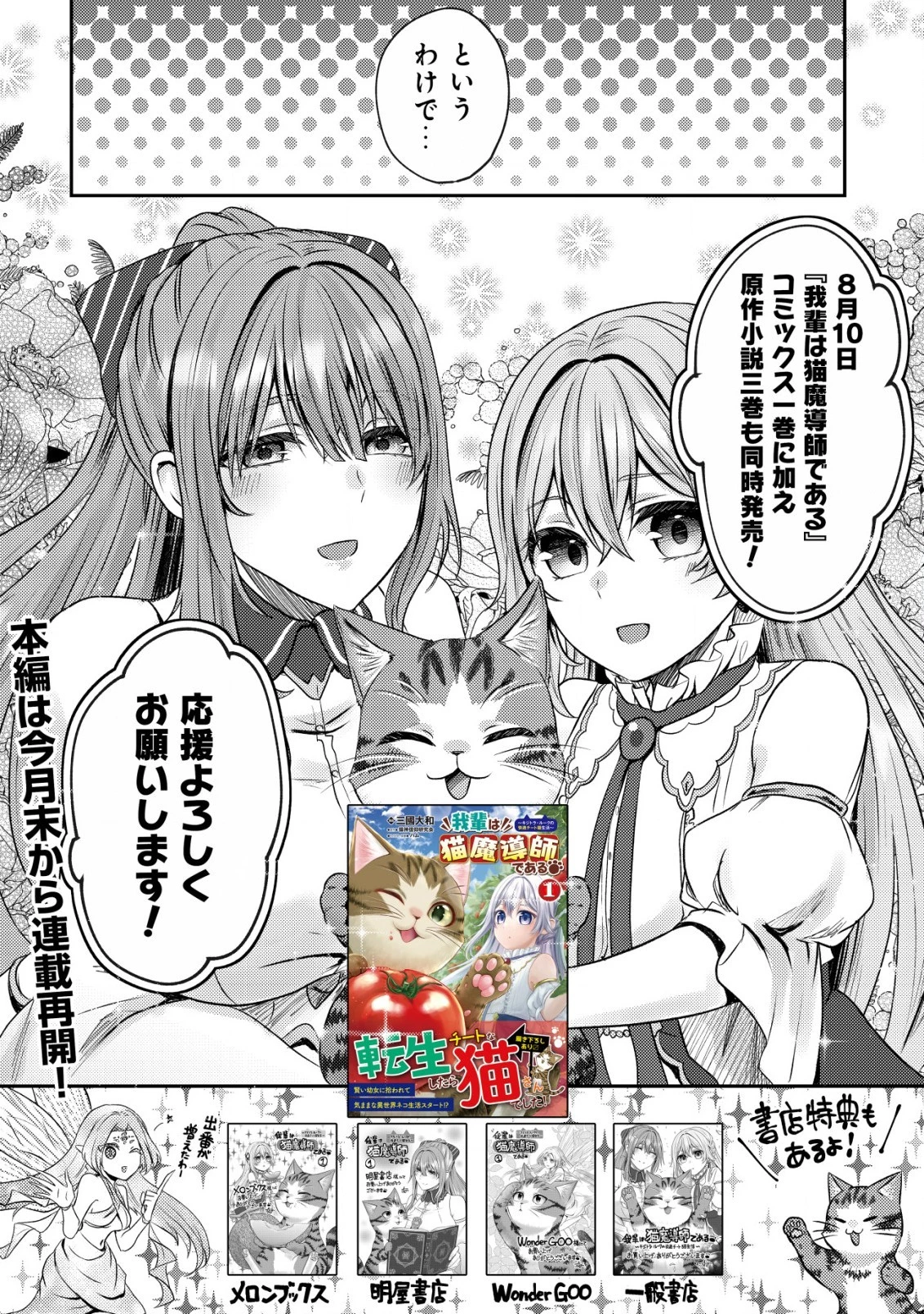 我輩は猫魔導師である～キジトラ・ルークの快適チート猫生活～ 第5.5話 - 4
