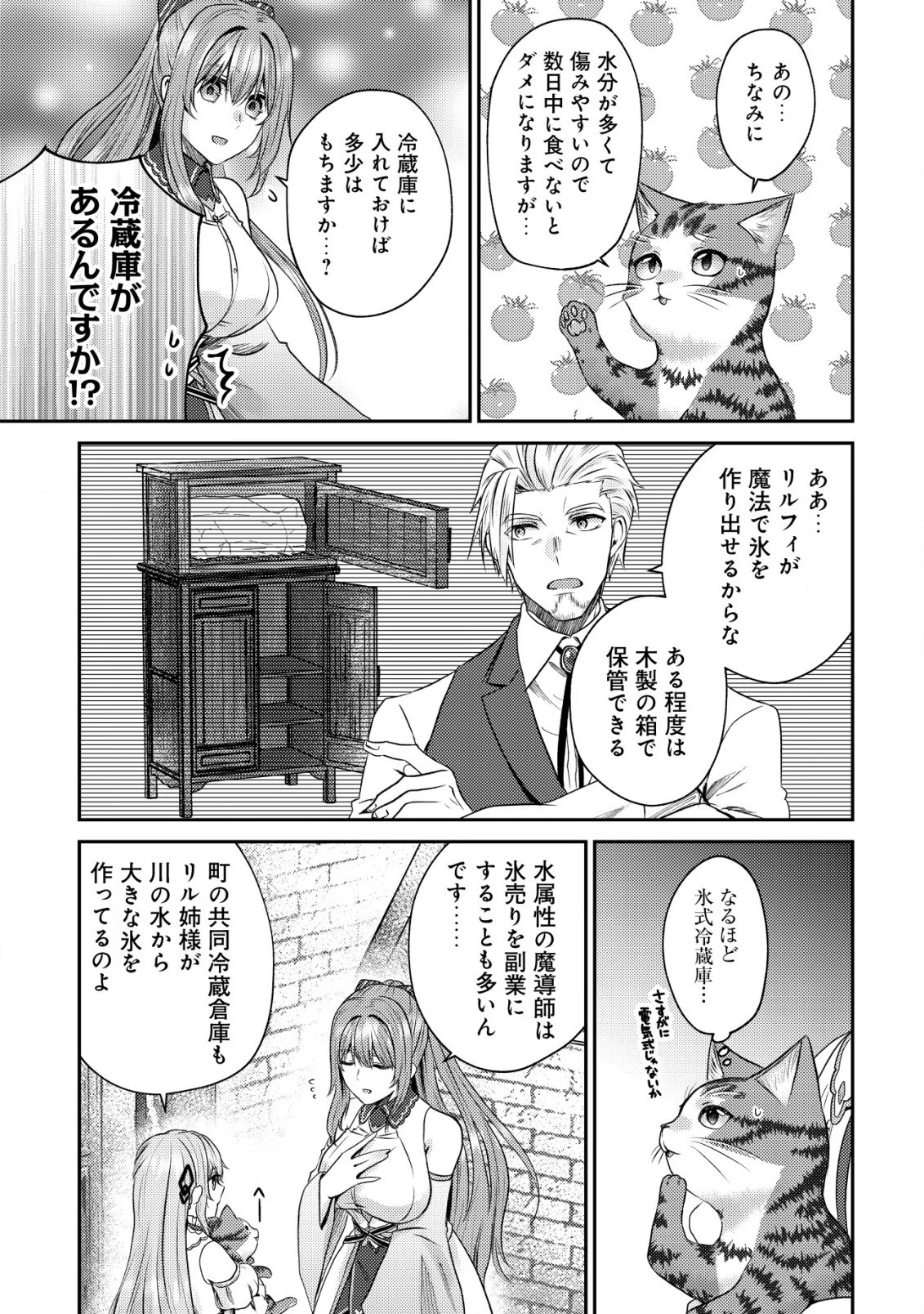 我輩は猫魔導師である～キジトラ・ルークの快適チート猫生活～ 第6話 - 13