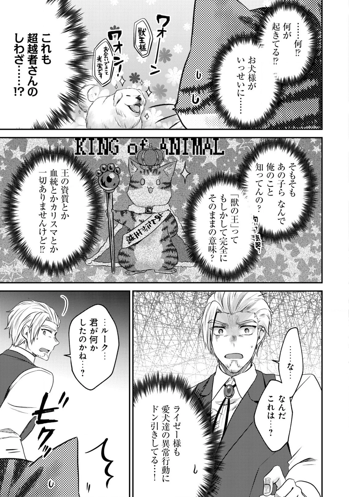 我輩は猫魔導師である～キジトラ・ルークの快適チート猫生活～ 第6話 - 19