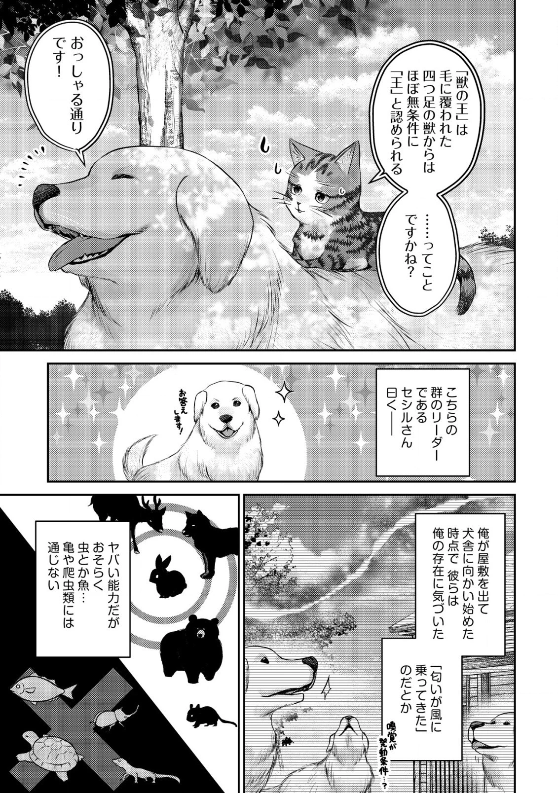我輩は猫魔導師である～キジトラ・ルークの快適チート猫生活～ 第7.1話 - 3