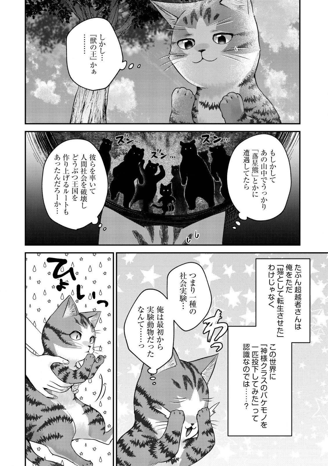 我輩は猫魔導師である～キジトラ・ルークの快適チート猫生活～ 第7.1話 - 12