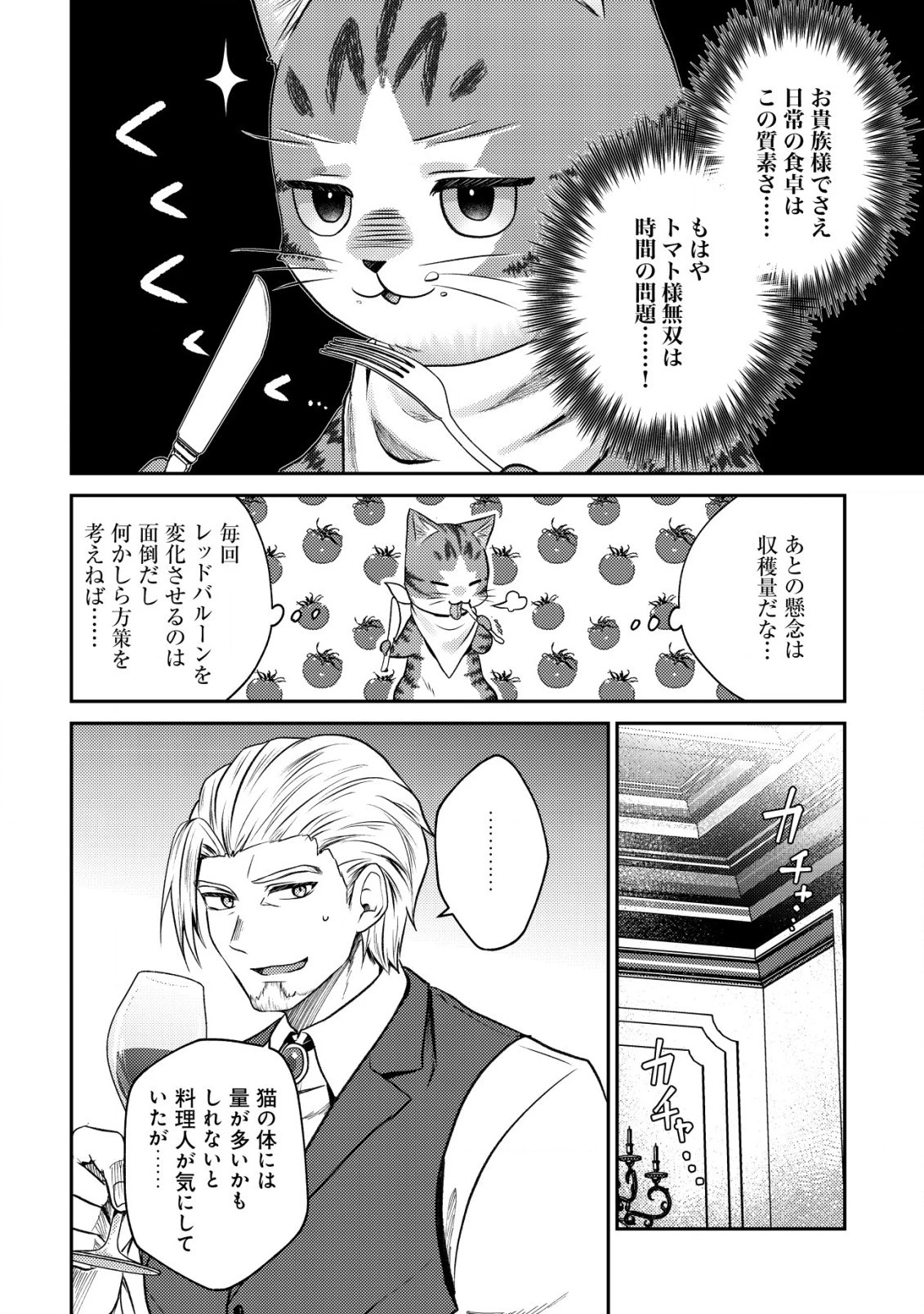 我輩は猫魔導師である～キジトラ・ルークの快適チート猫生活～ 第7.2話 - 6