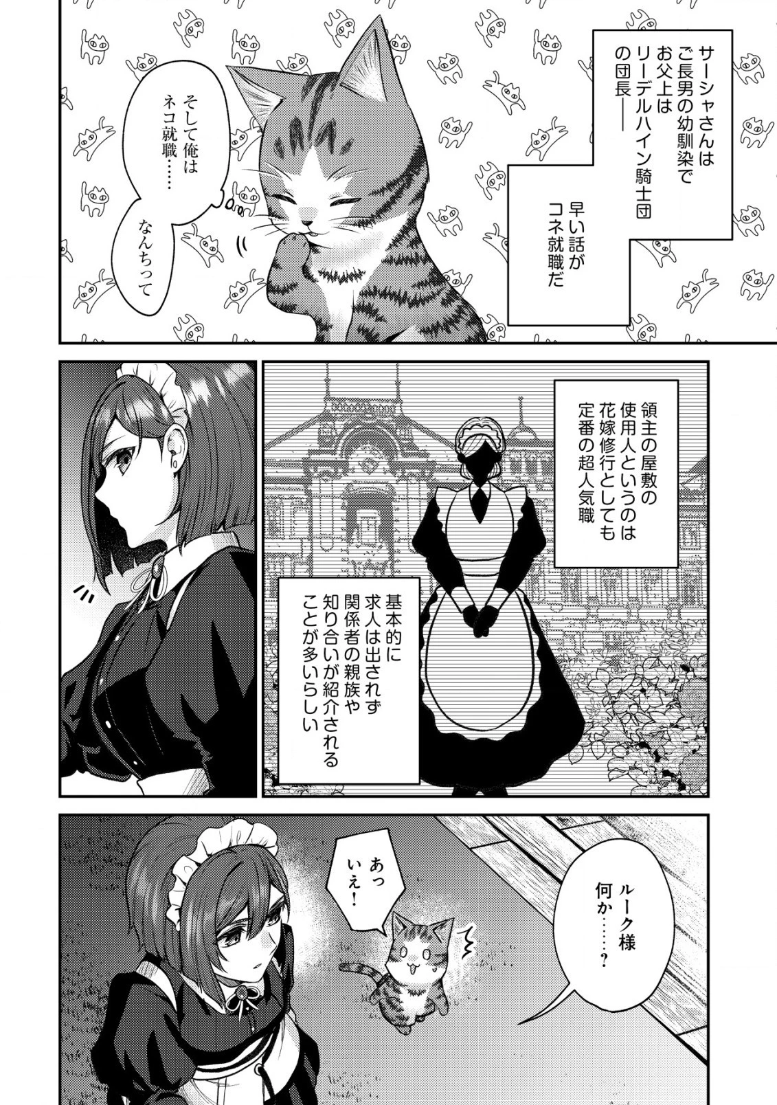 我輩は猫魔導師である～キジトラ・ルークの快適チート猫生活～ 第7.2話 - 10