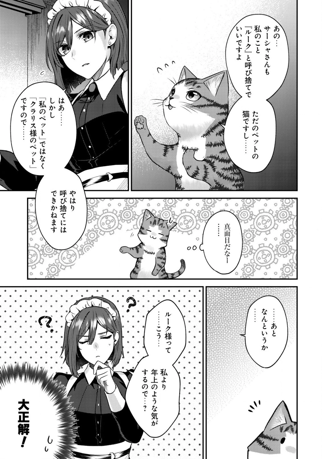 我輩は猫魔導師である～キジトラ・ルークの快適チート猫生活～ 第7.2話 - 11