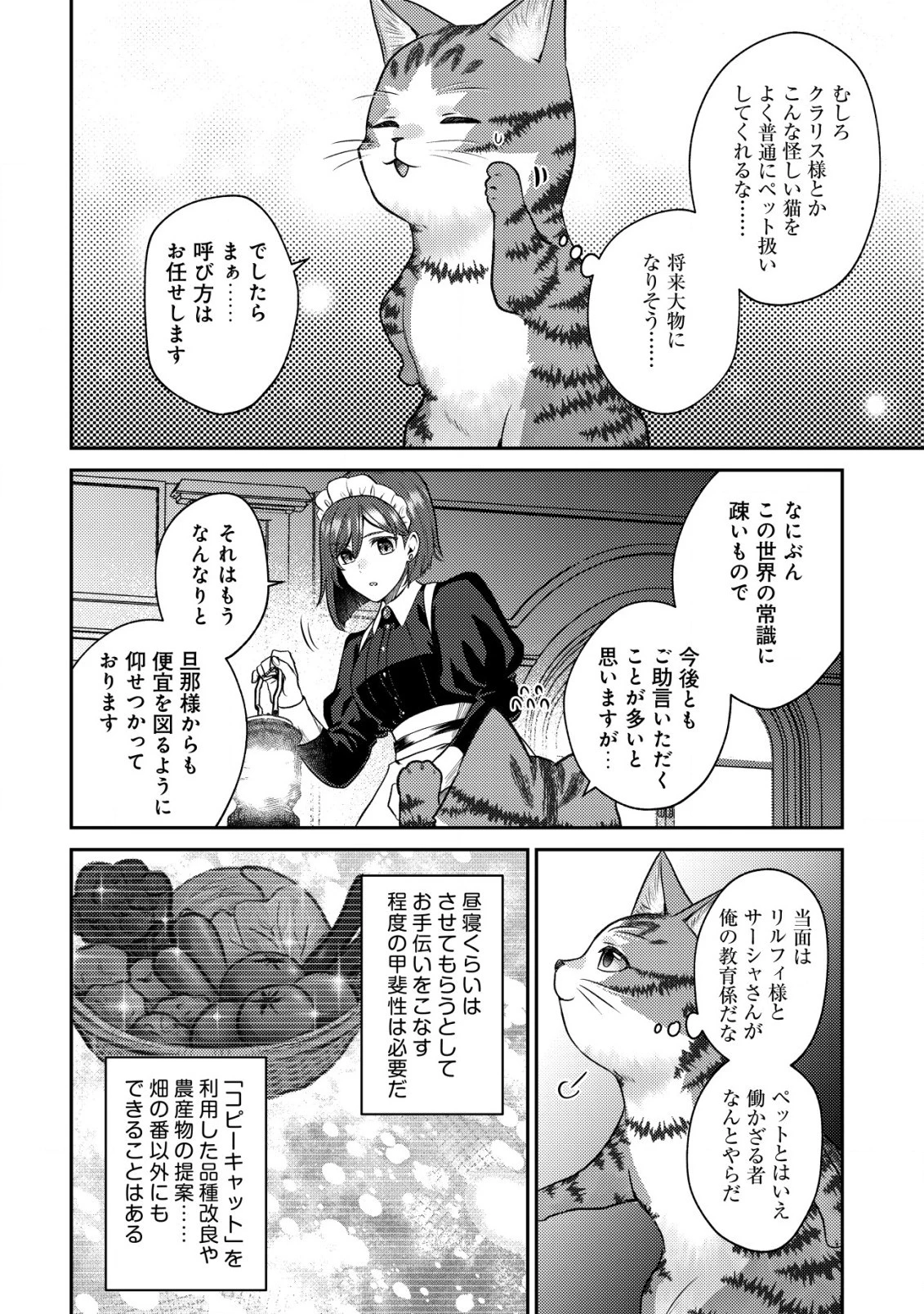 我輩は猫魔導師である～キジトラ・ルークの快適チート猫生活～ 第7.2話 - 12