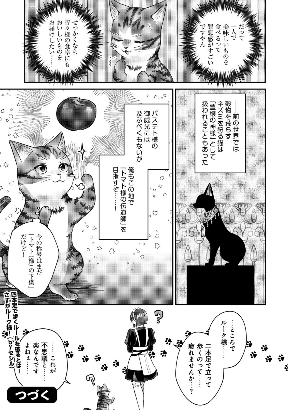 我輩は猫魔導師である～キジトラ・ルークの快適チート猫生活～ 第7.2話 - 13