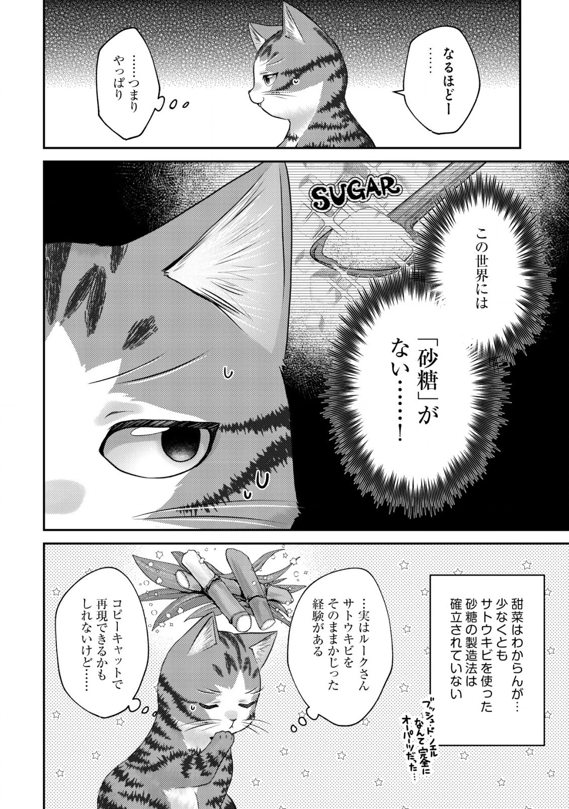 我輩は猫魔導師である～キジトラ・ルークの快適チート猫生活～ 第8.1話 - 6