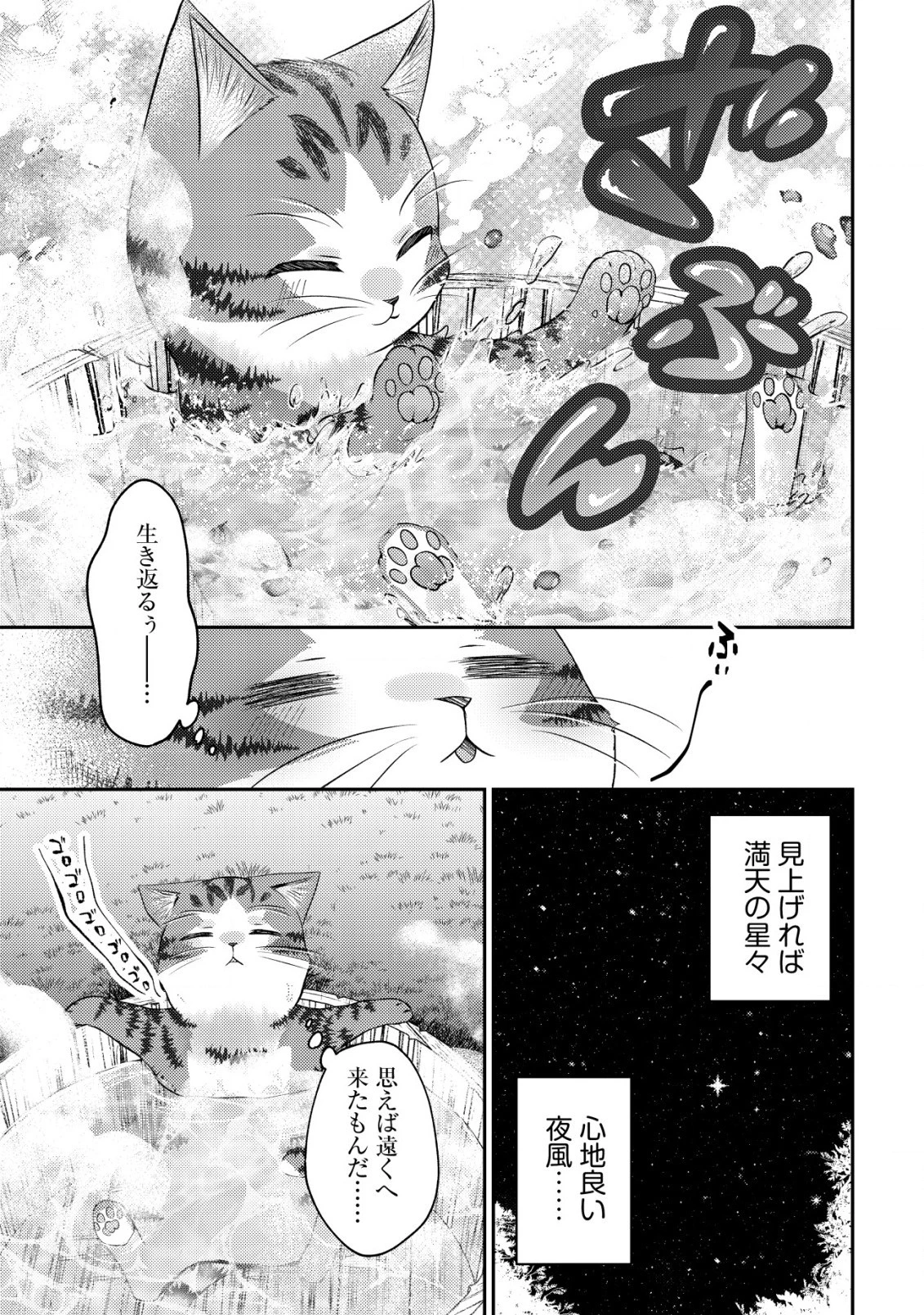 我輩は猫魔導師である～キジトラ・ルークの快適チート猫生活～ 第8.2話 - 5