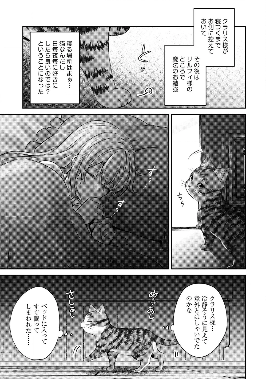 我輩は猫魔導師である～キジトラ・ルークの快適チート猫生活～ 第9.1話 - 3