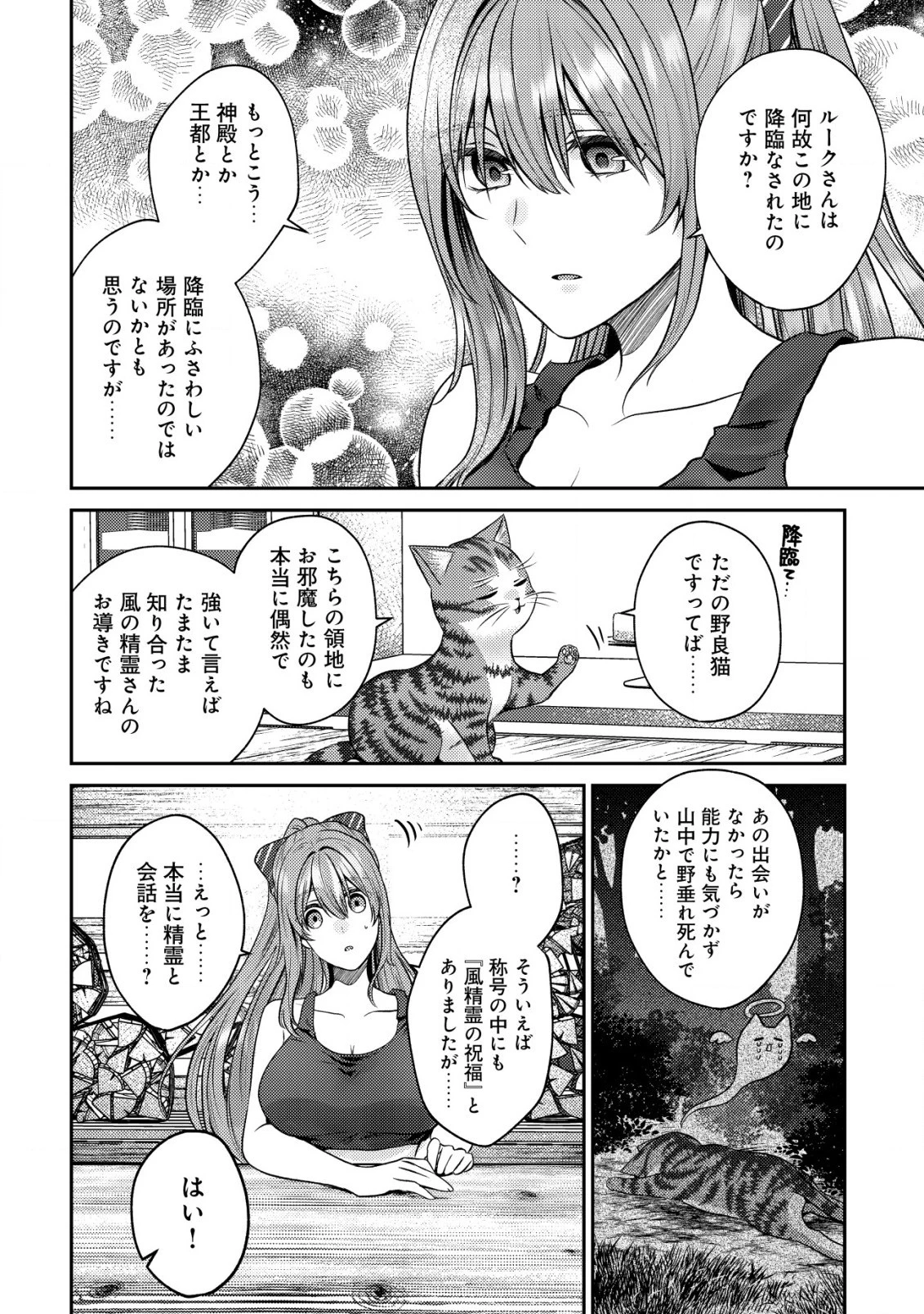 我輩は猫魔導師である～キジトラ・ルークの快適チート猫生活～ 第9.2話 - 2