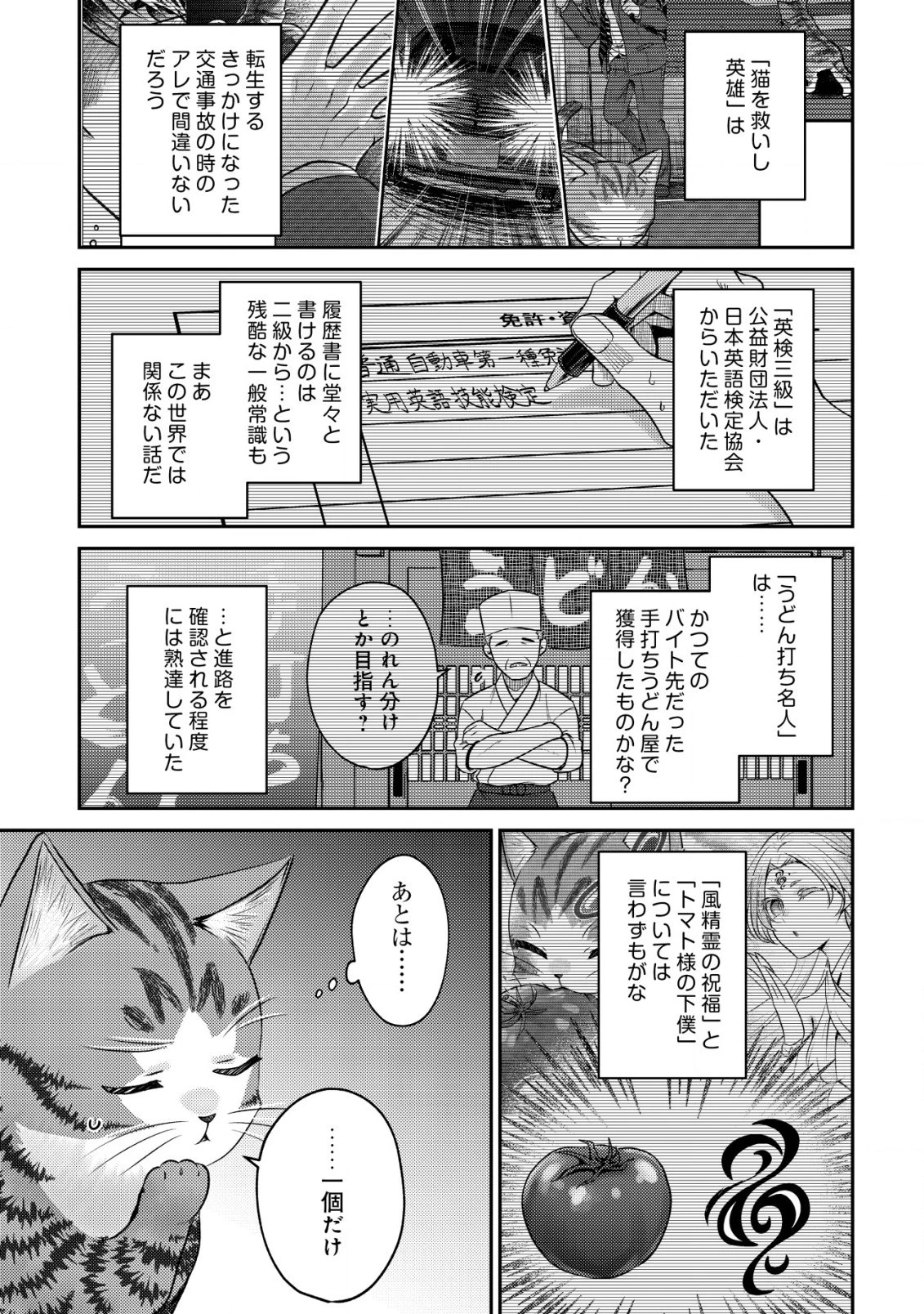 我輩は猫魔導師である～キジトラ・ルークの快適チート猫生活～ 第9.2話 - 7