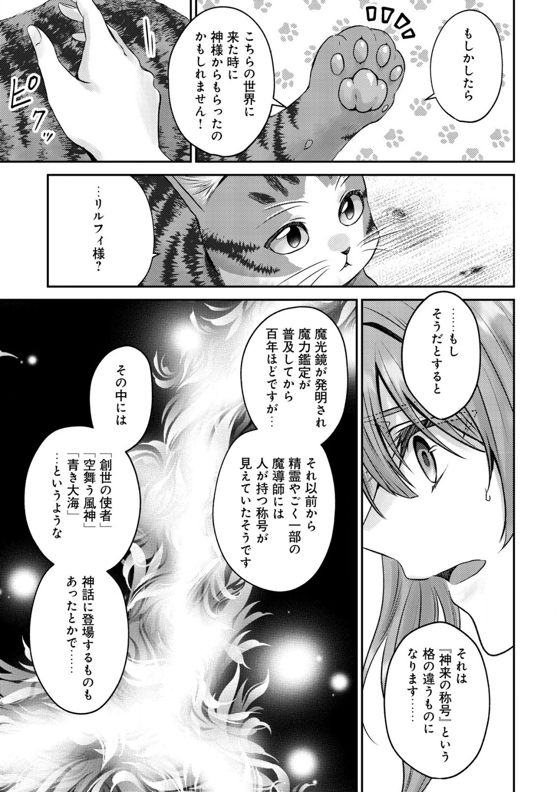 我輩は猫魔導師である～キジトラ・ルークの快適チート猫生活～ 第9.2話 - 9