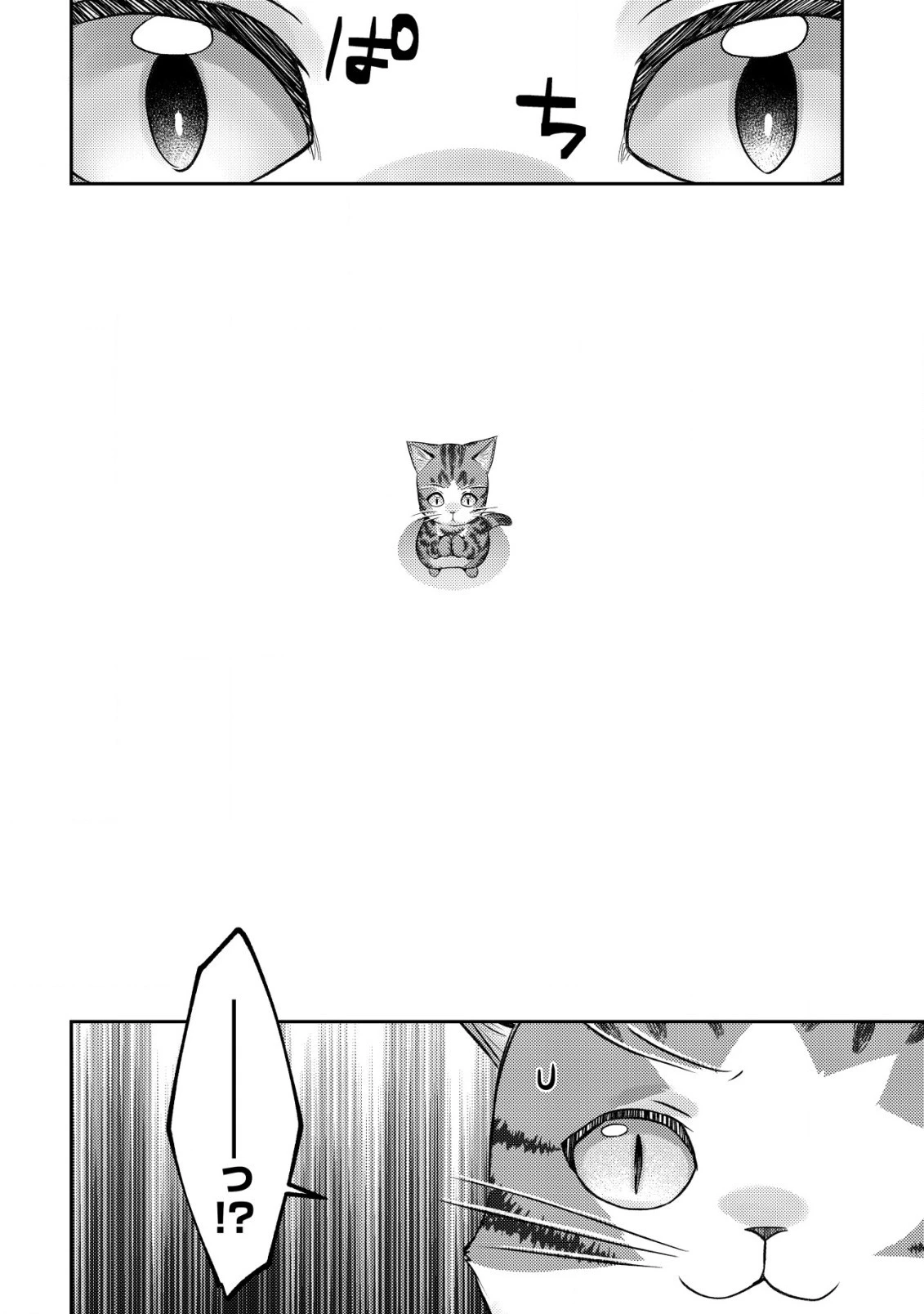 我輩は猫魔導師である～キジトラ・ルークの快適チート猫生活～ 第9.2話 - 12