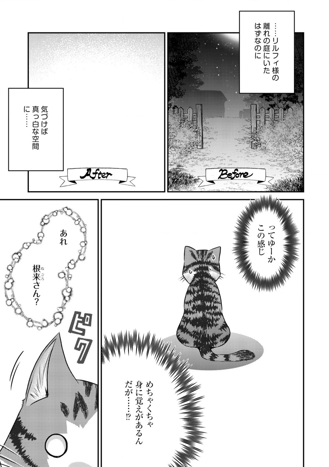 我輩は猫魔導師である～キジトラ・ルークの快適チート猫生活～ 第9.2話 - 13