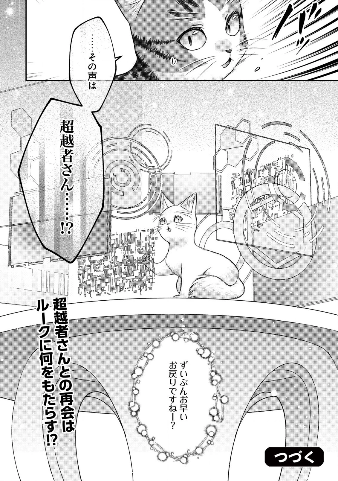 我輩は猫魔導師である～キジトラ・ルークの快適チート猫生活～ 第9.2話 - 14