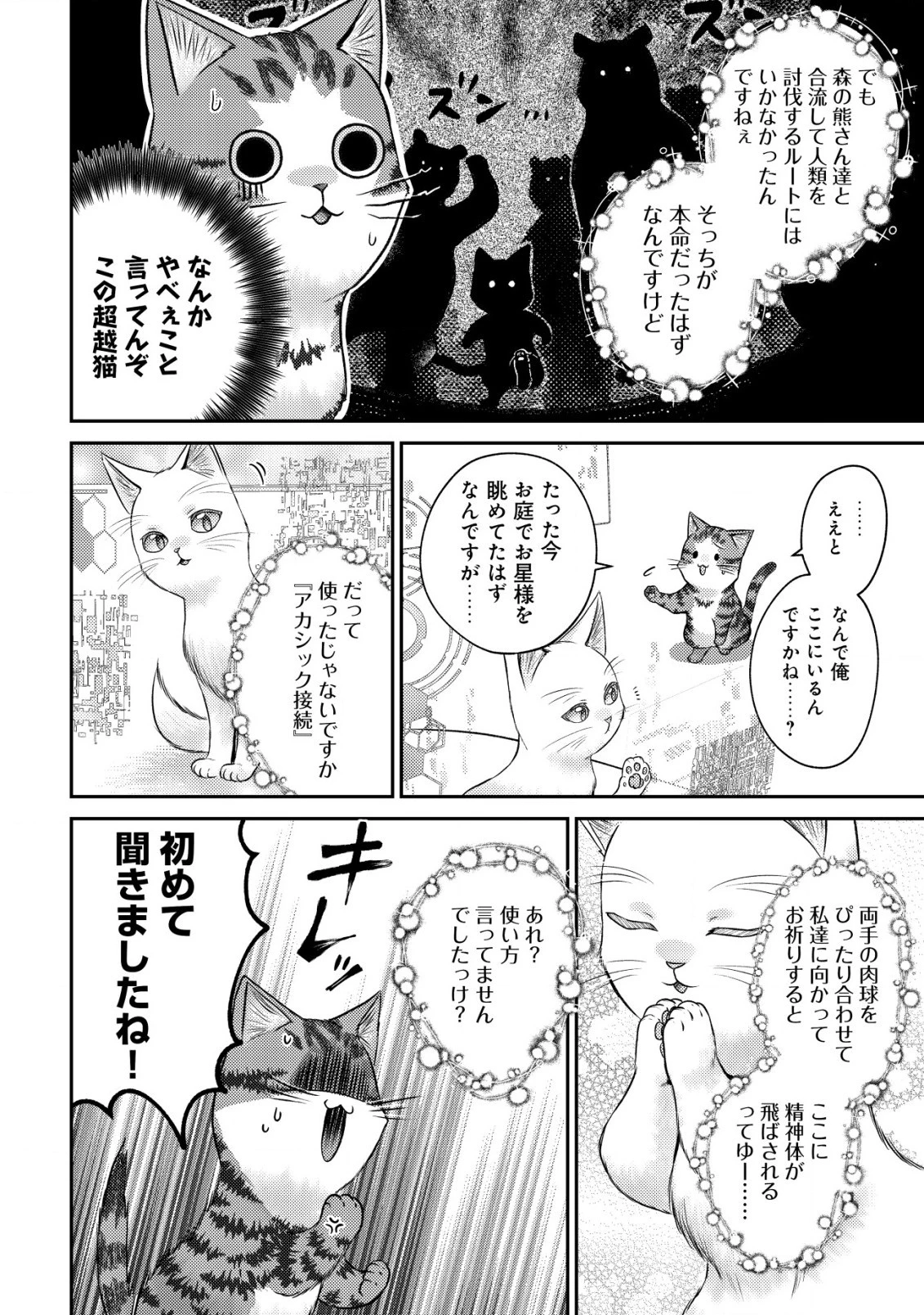 我輩は猫魔導師である～キジトラ・ルークの快適チート猫生活～ 第10.1話 - 2