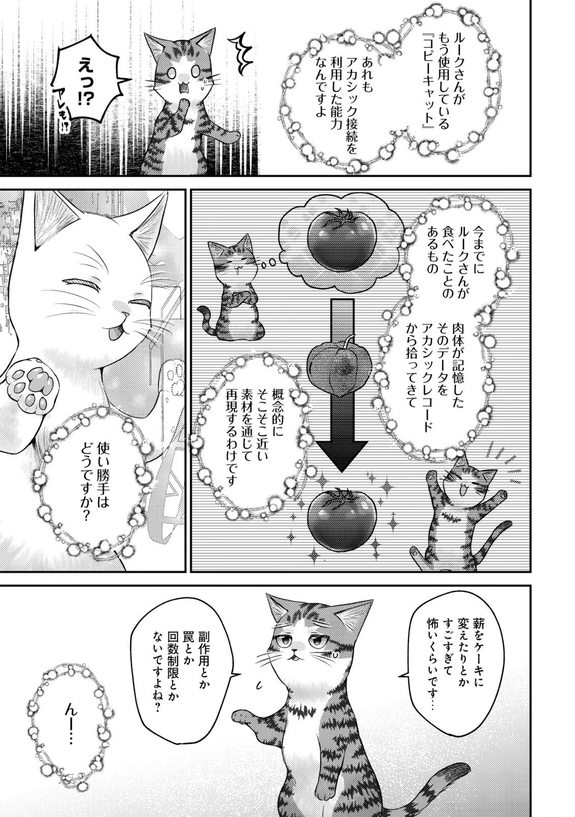 我輩は猫魔導師である～キジトラ・ルークの快適チート猫生活～ 第10.1話 - 7