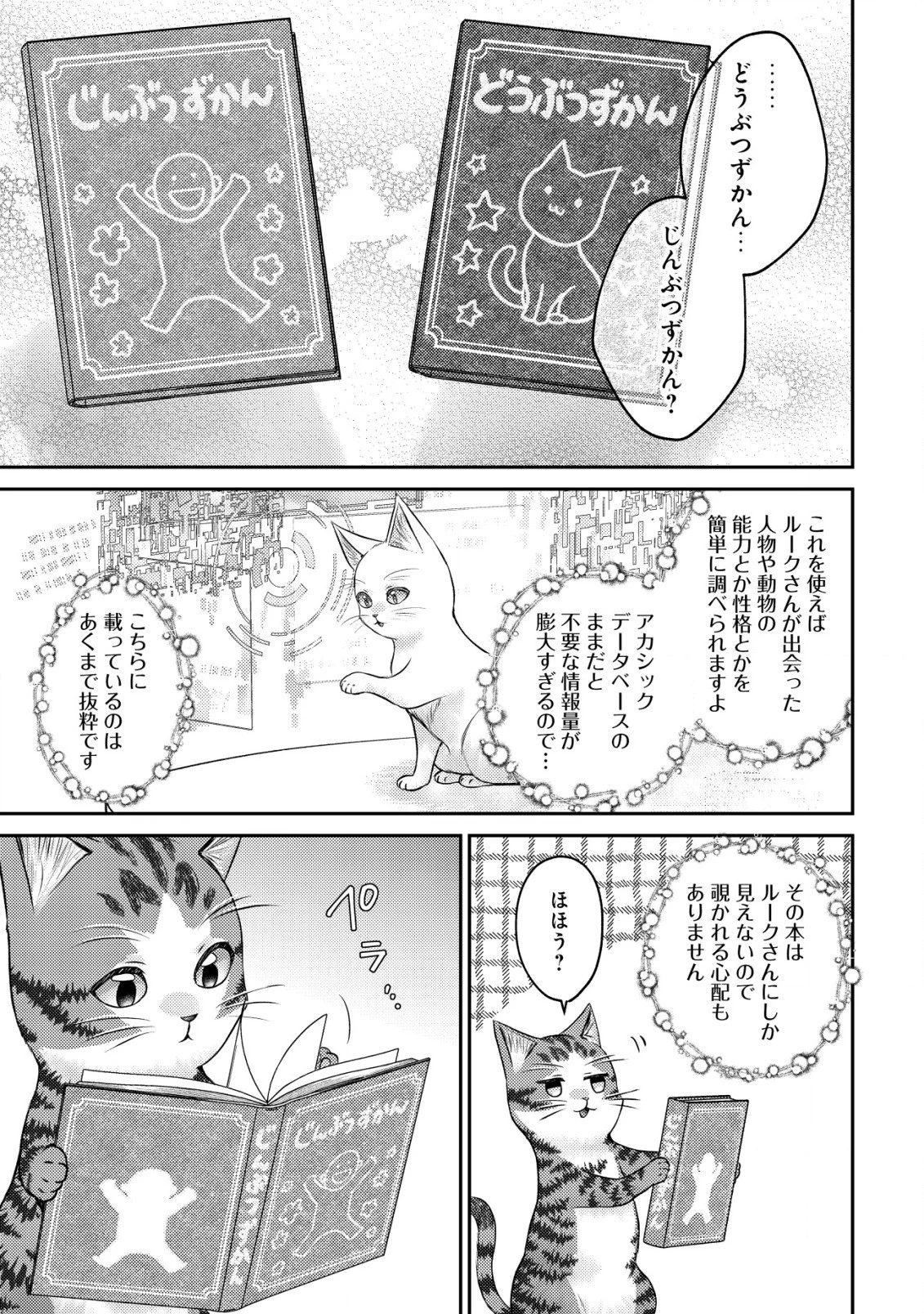 我輩は猫魔導師である～キジトラ・ルークの快適チート猫生活～ 第10.1話 - 11
