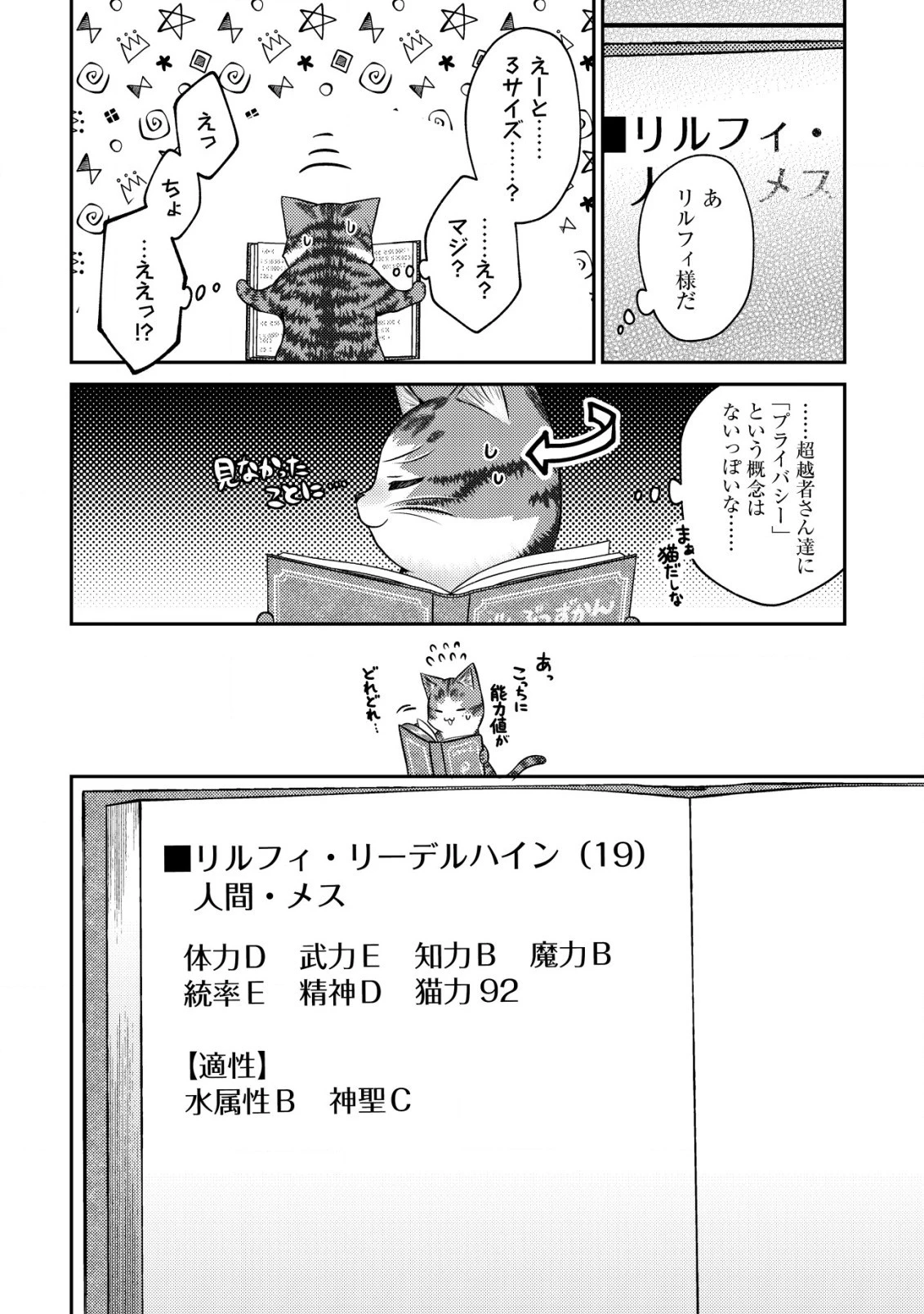 我輩は猫魔導師である～キジトラ・ルークの快適チート猫生活～ 第10.1話 - 12