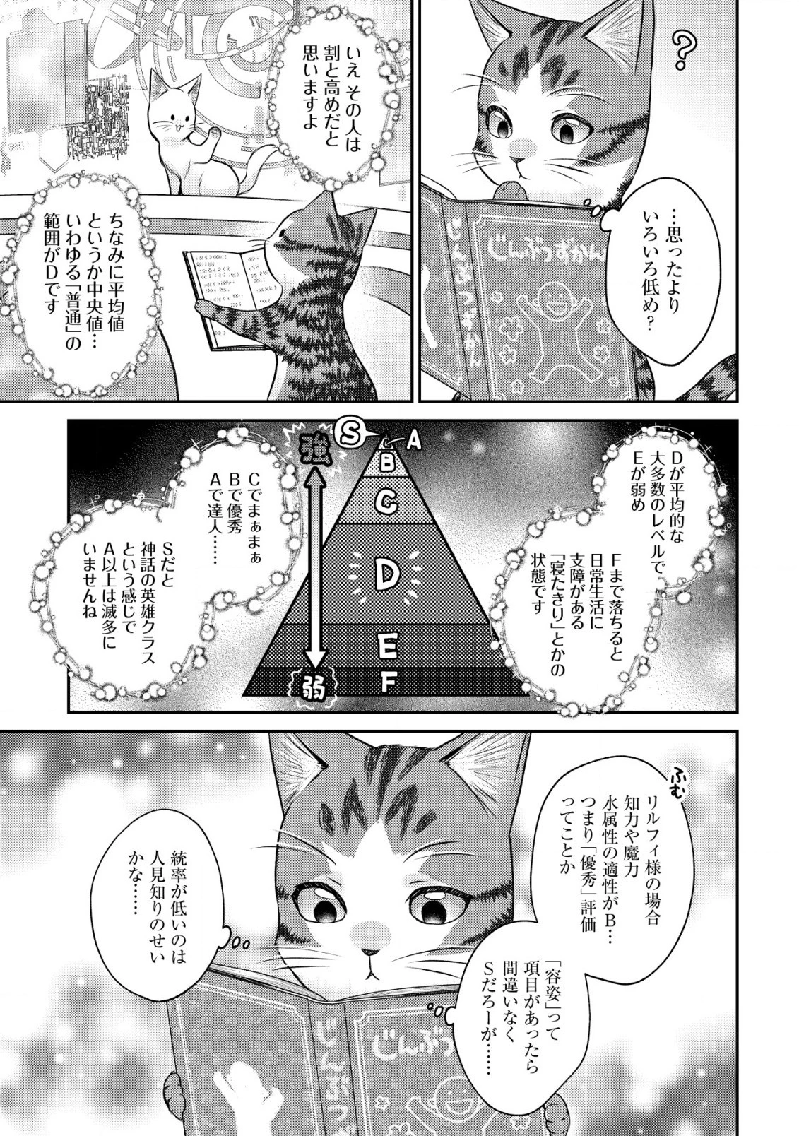 我輩は猫魔導師である～キジトラ・ルークの快適チート猫生活～ 第10.1話 - 13