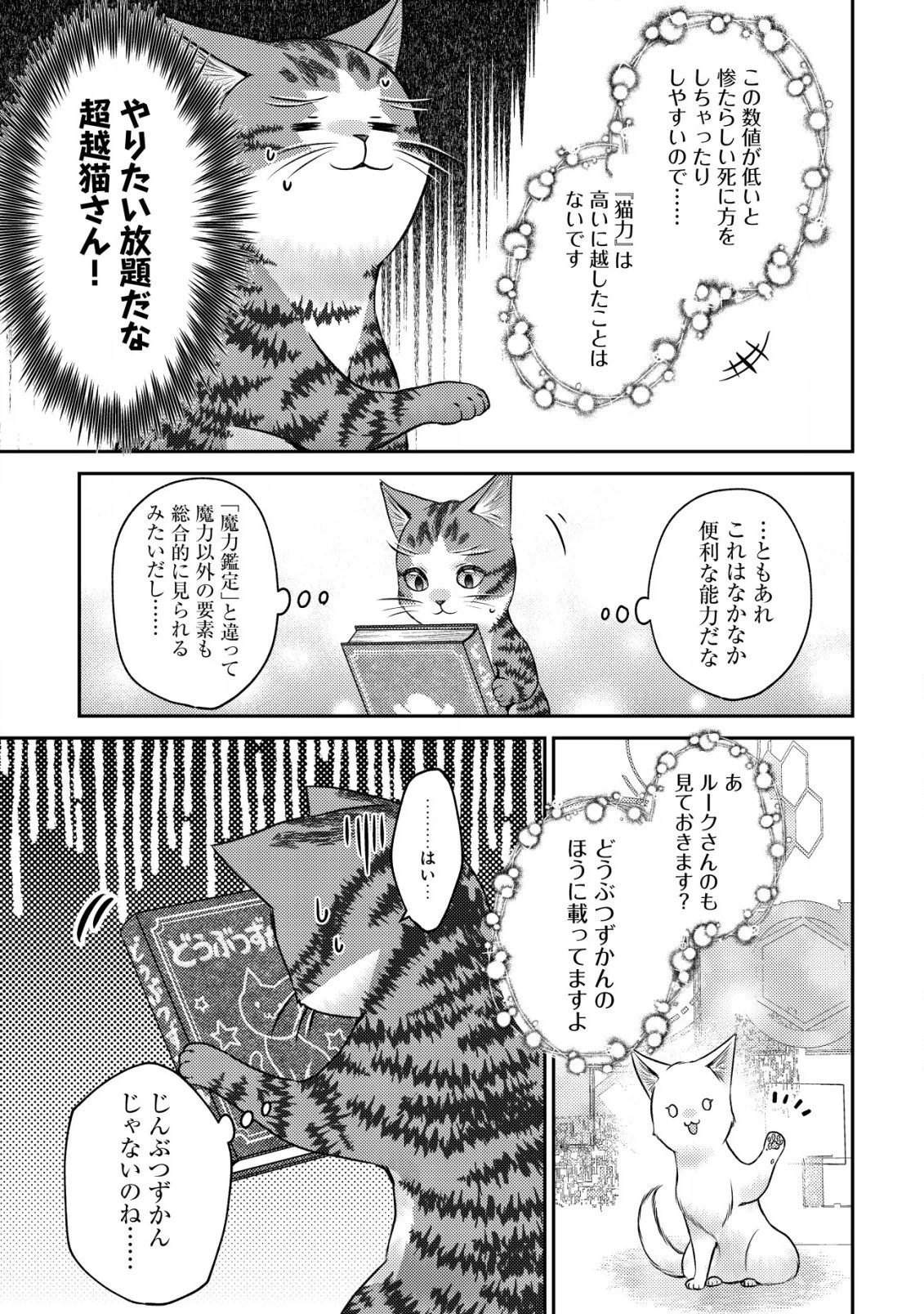 我輩は猫魔導師である～キジトラ・ルークの快適チート猫生活～ 第10.1話 - 15