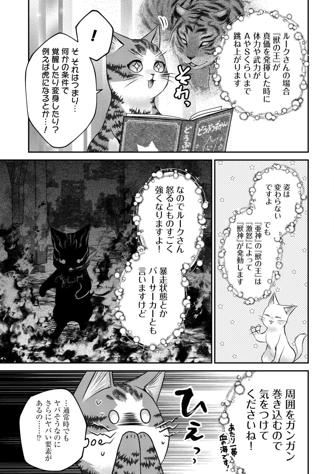 我輩は猫魔導師である～キジトラ・ルークの快適チート猫生活～ 第10.2話 - 2