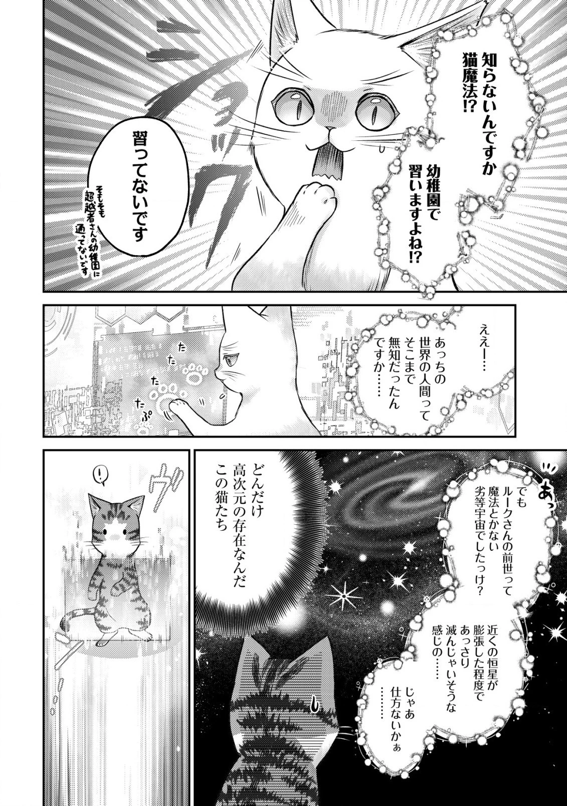 我輩は猫魔導師である～キジトラ・ルークの快適チート猫生活～ 第10.2話 - 5