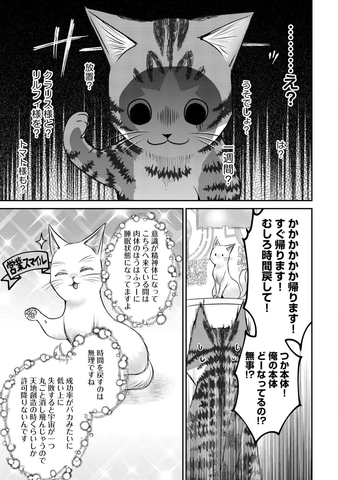 我輩は猫魔導師である～キジトラ・ルークの快適チート猫生活～ 第10.2話 - 8