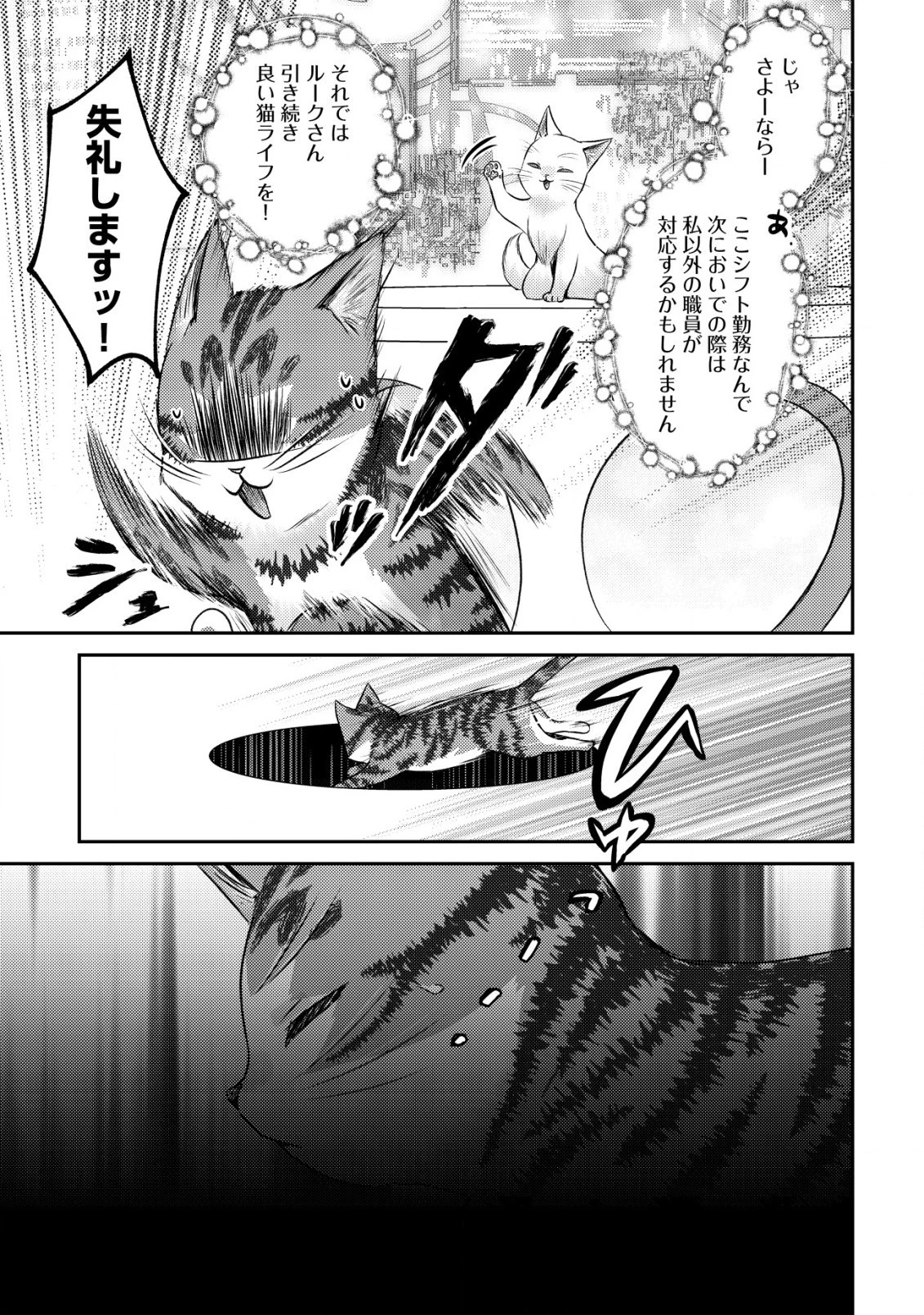我輩は猫魔導師である～キジトラ・ルークの快適チート猫生活～ 第10.2話 - 10