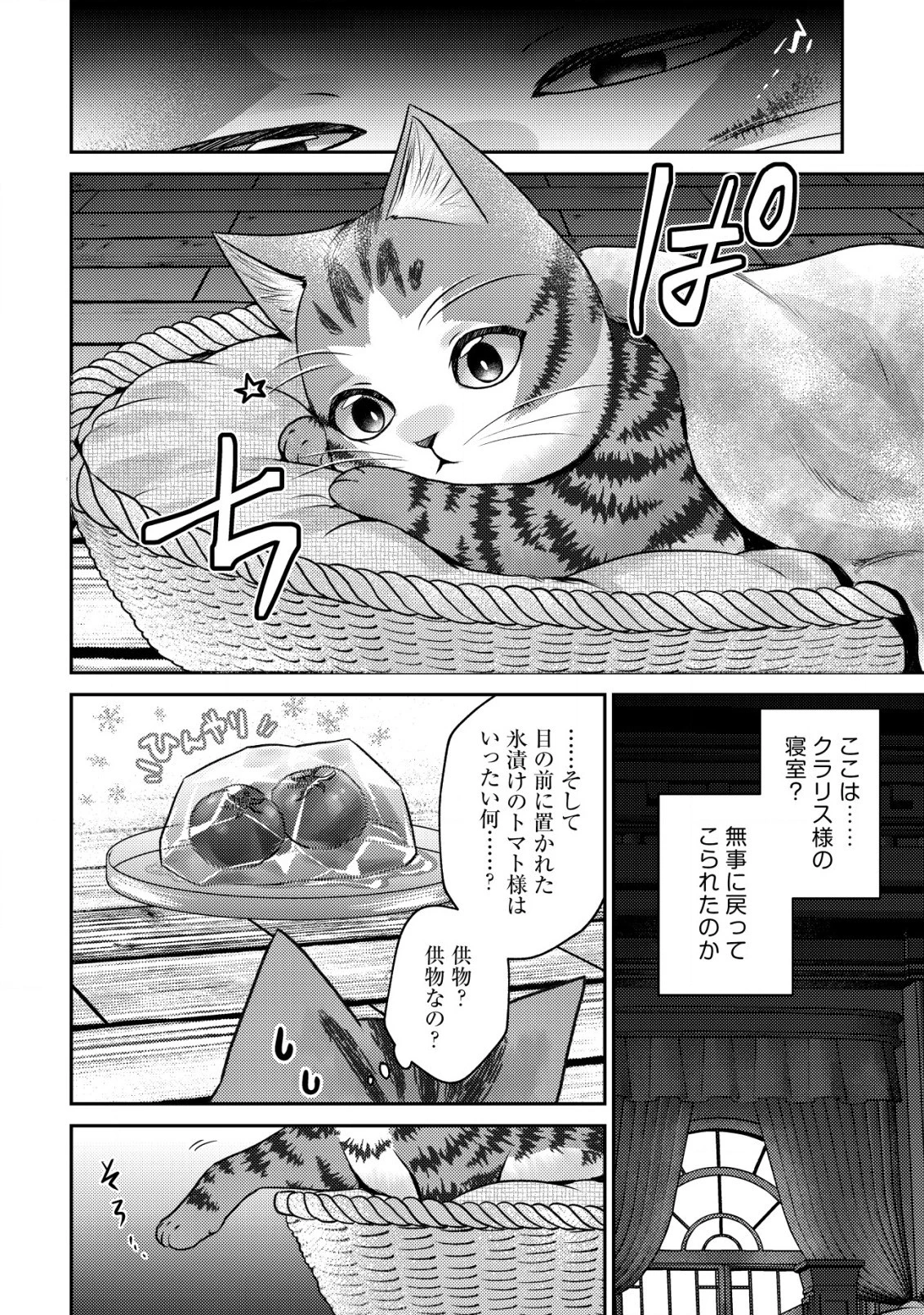 我輩は猫魔導師である～キジトラ・ルークの快適チート猫生活～ 第10.2話 - 11
