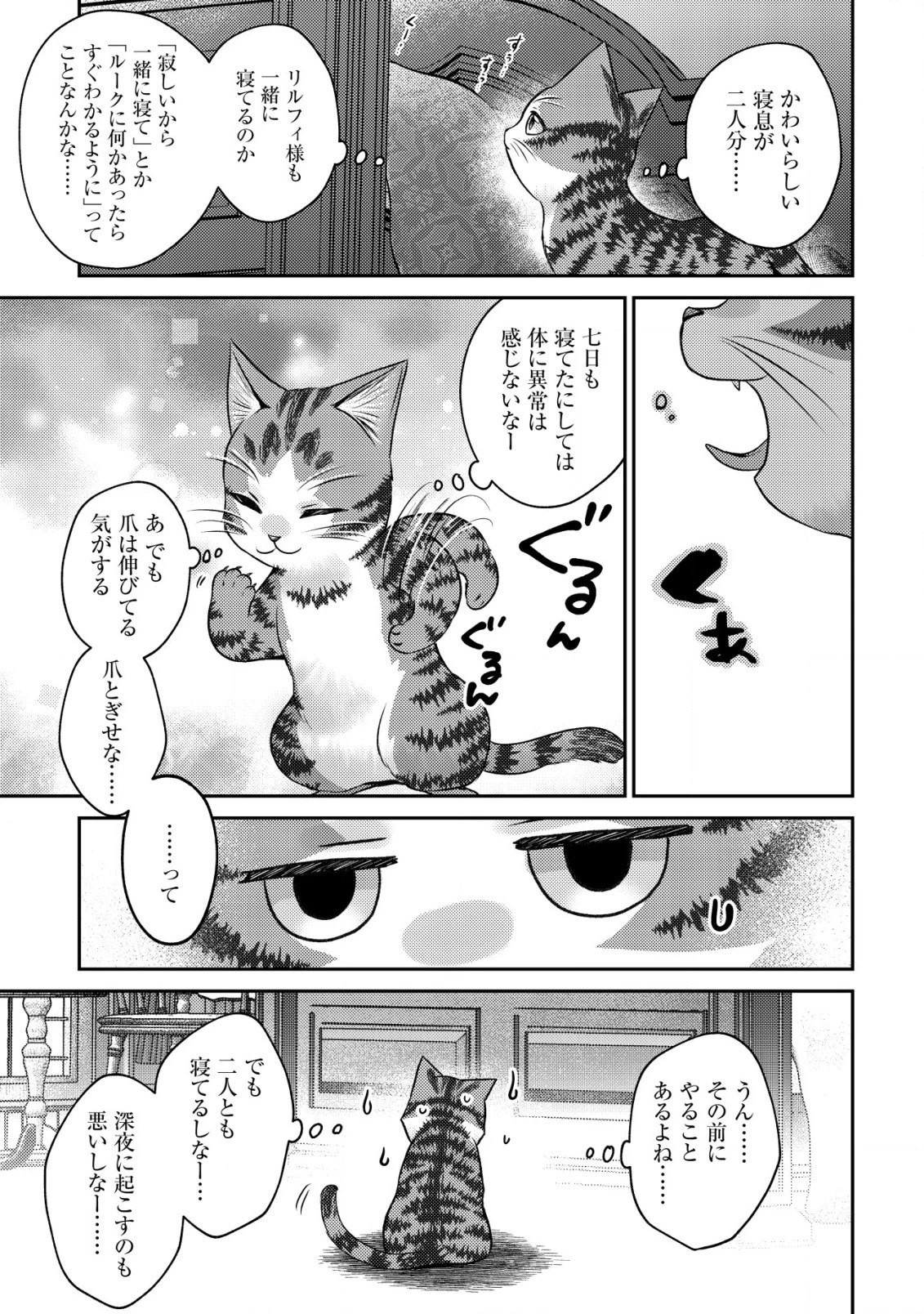 我輩は猫魔導師である～キジトラ・ルークの快適チート猫生活～ 第10.2話 - 12