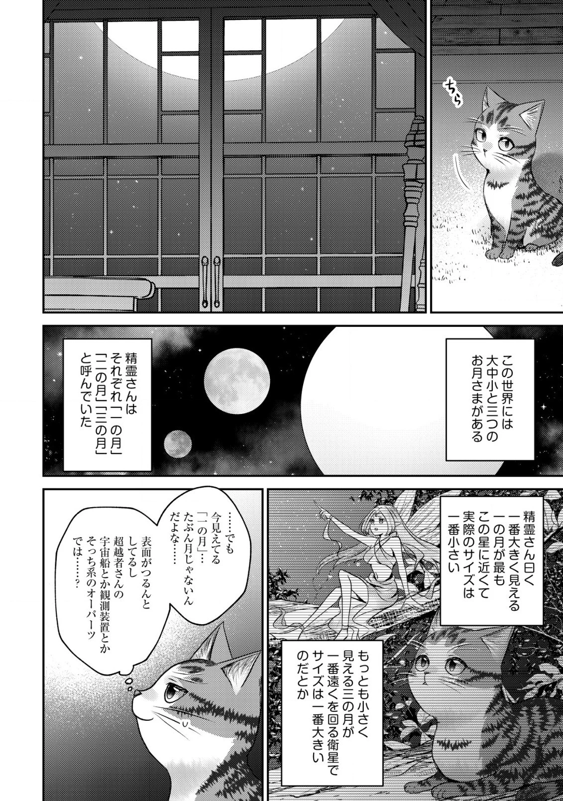 我輩は猫魔導師である～キジトラ・ルークの快適チート猫生活～ 第10.2話 - 13