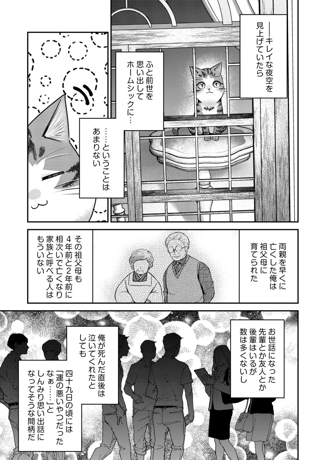 我輩は猫魔導師である～キジトラ・ルークの快適チート猫生活～ 第10.2話 - 14