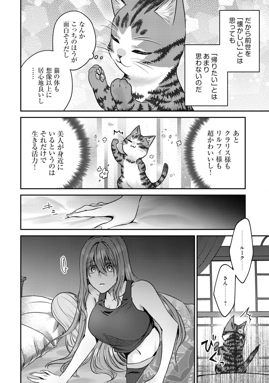 我輩は猫魔導師である～キジトラ・ルークの快適チート猫生活～ 第10.2話 - 15