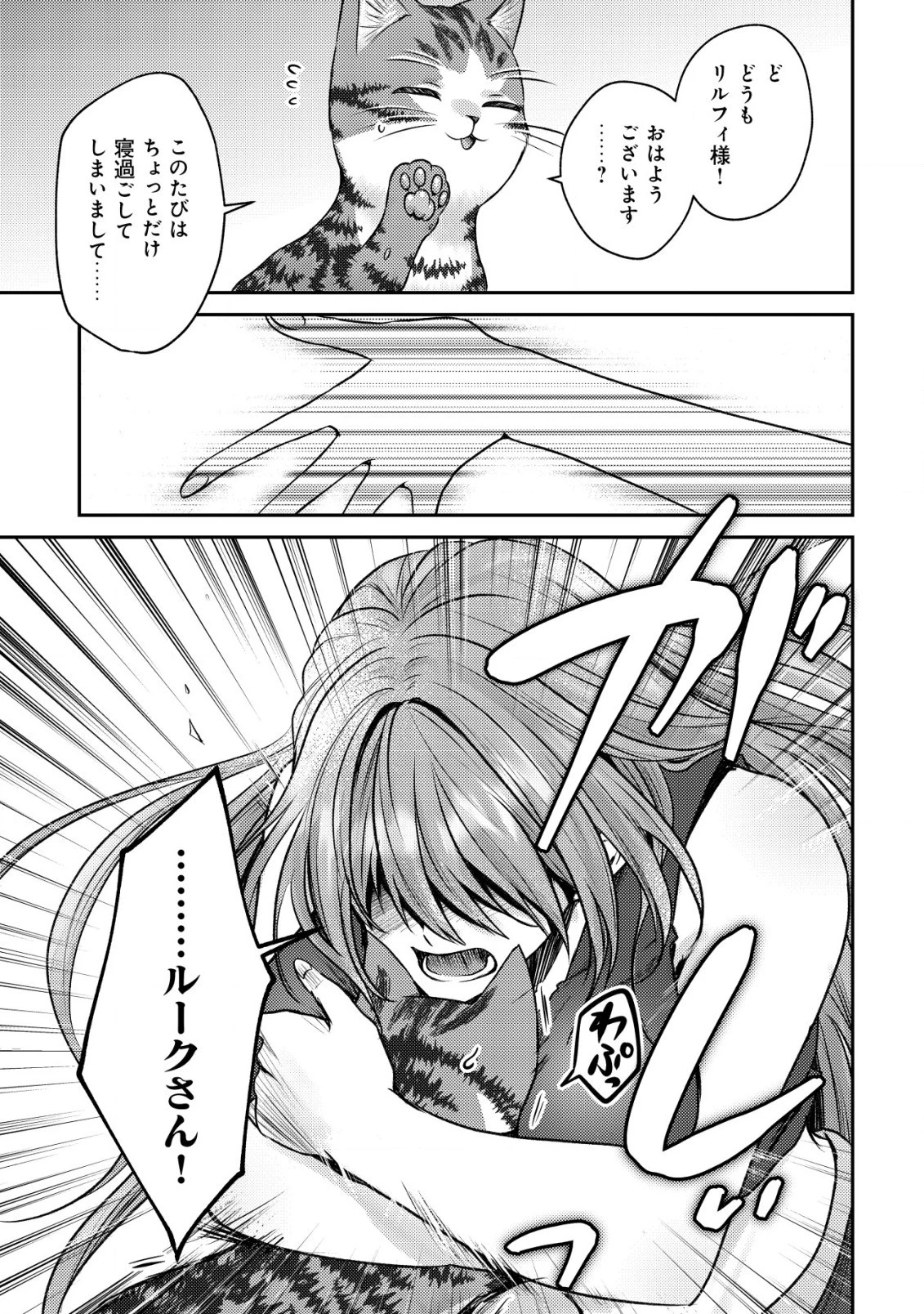 我輩は猫魔導師である～キジトラ・ルークの快適チート猫生活～ 第10.2話 - 16