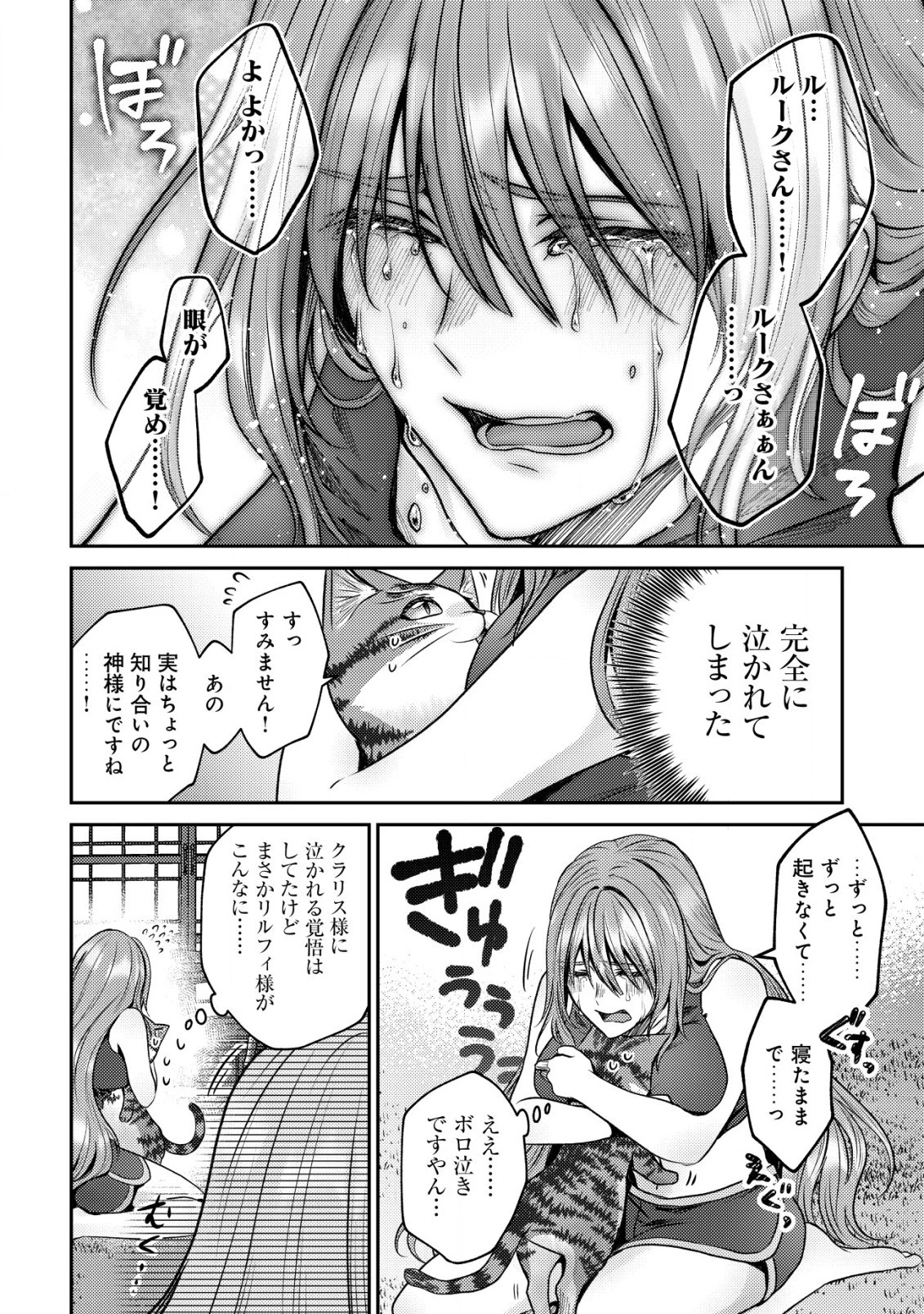 我輩は猫魔導師である～キジトラ・ルークの快適チート猫生活～ 第10.2話 - 17