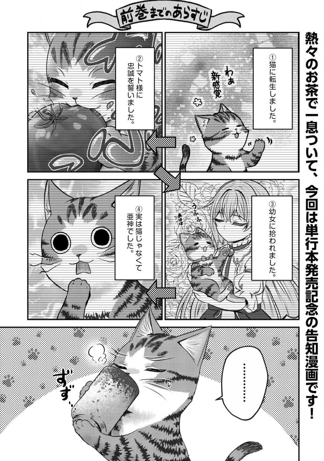 我輩は猫魔導師である～キジトラ・ルークの快適チート猫生活～ 第10.5話 - 1