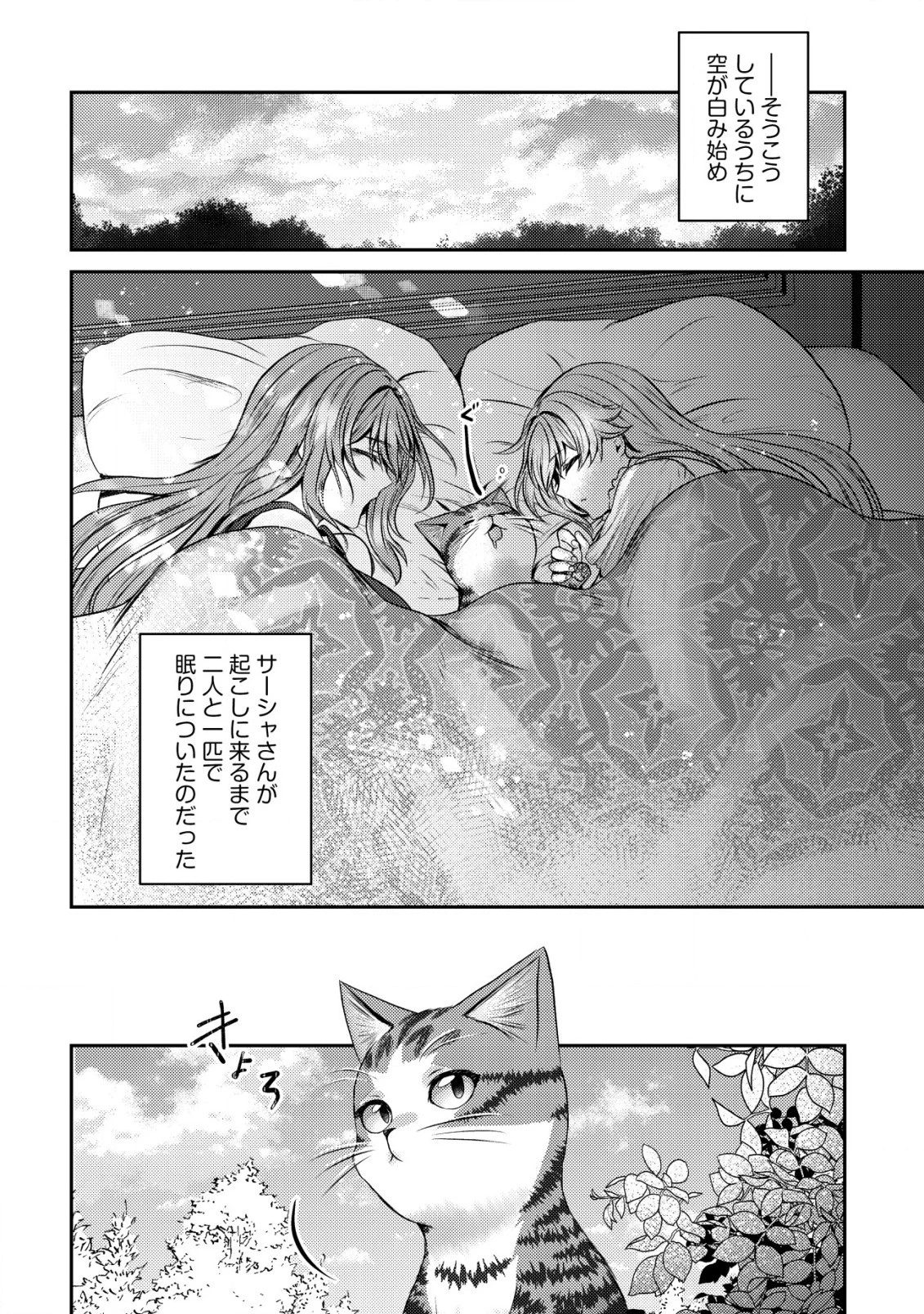 我輩は猫魔導師である～キジトラ・ルークの快適チート猫生活～ 第11.2話 - 3
