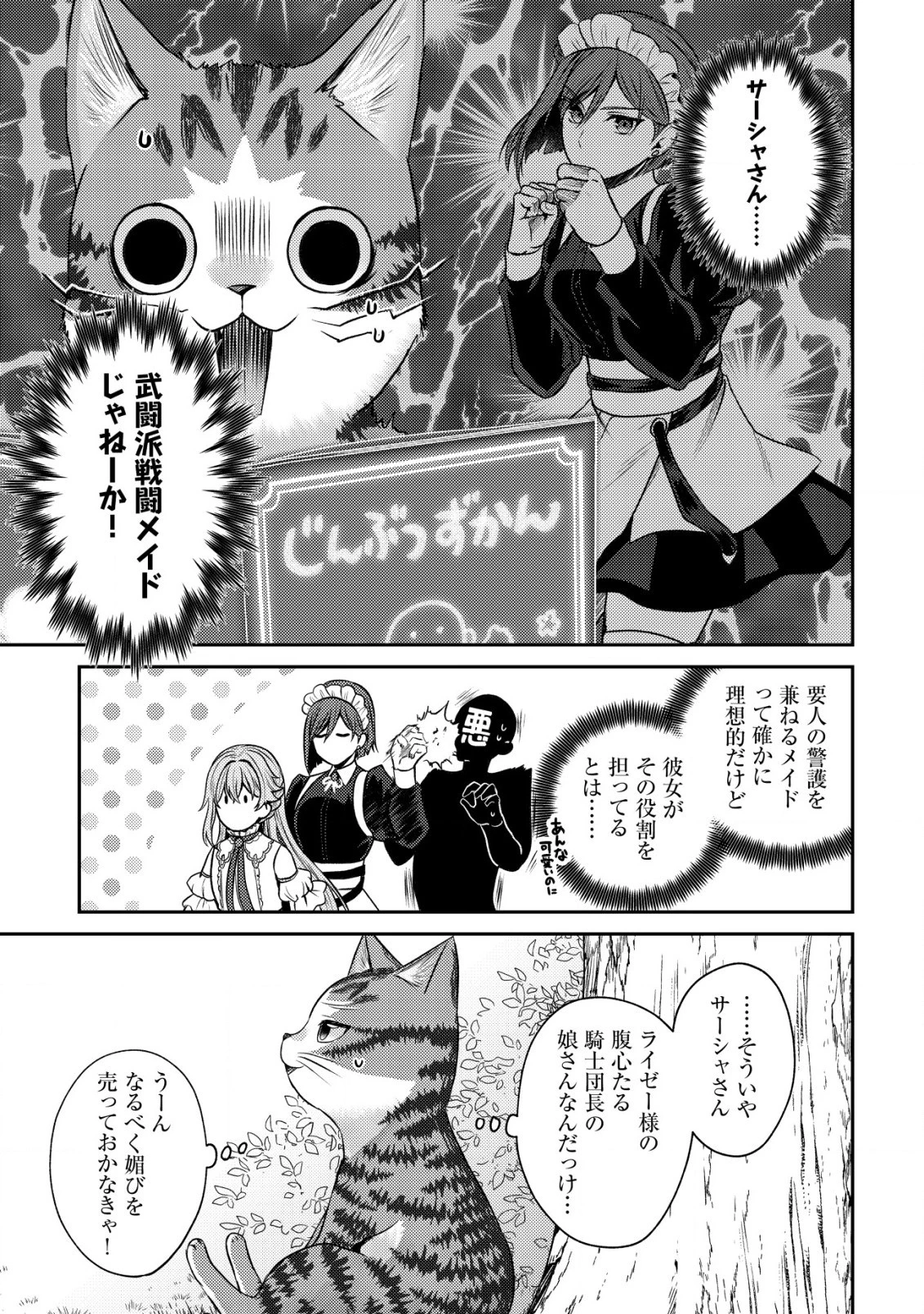 我輩は猫魔導師である～キジトラ・ルークの快適チート猫生活～ 第11.2話 - 8