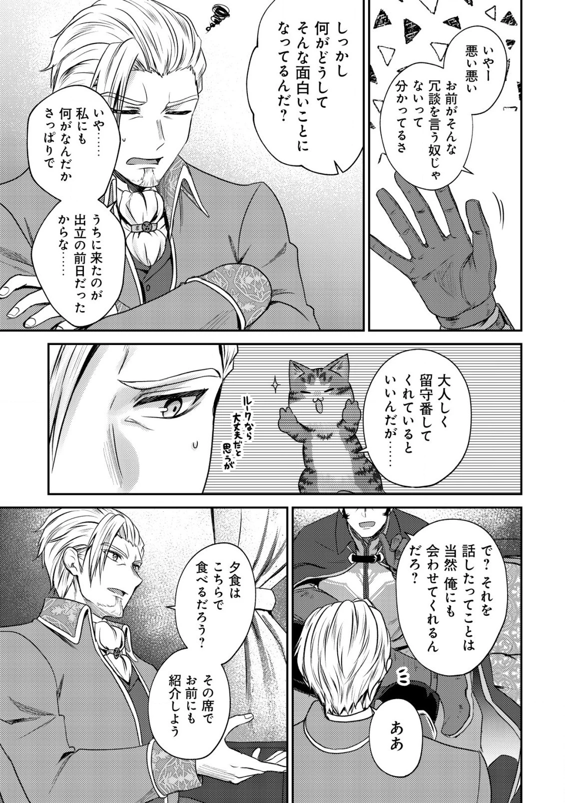 我輩は猫魔導師である～キジトラ・ルークの快適チート猫生活～ 第11.2話 - 10