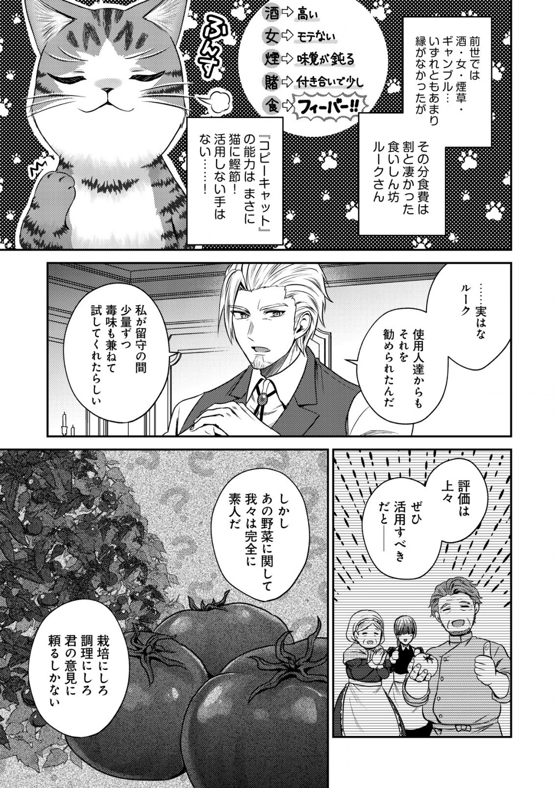 我輩は猫魔導師である～キジトラ・ルークの快適チート猫生活～ 第12.2話 - 3
