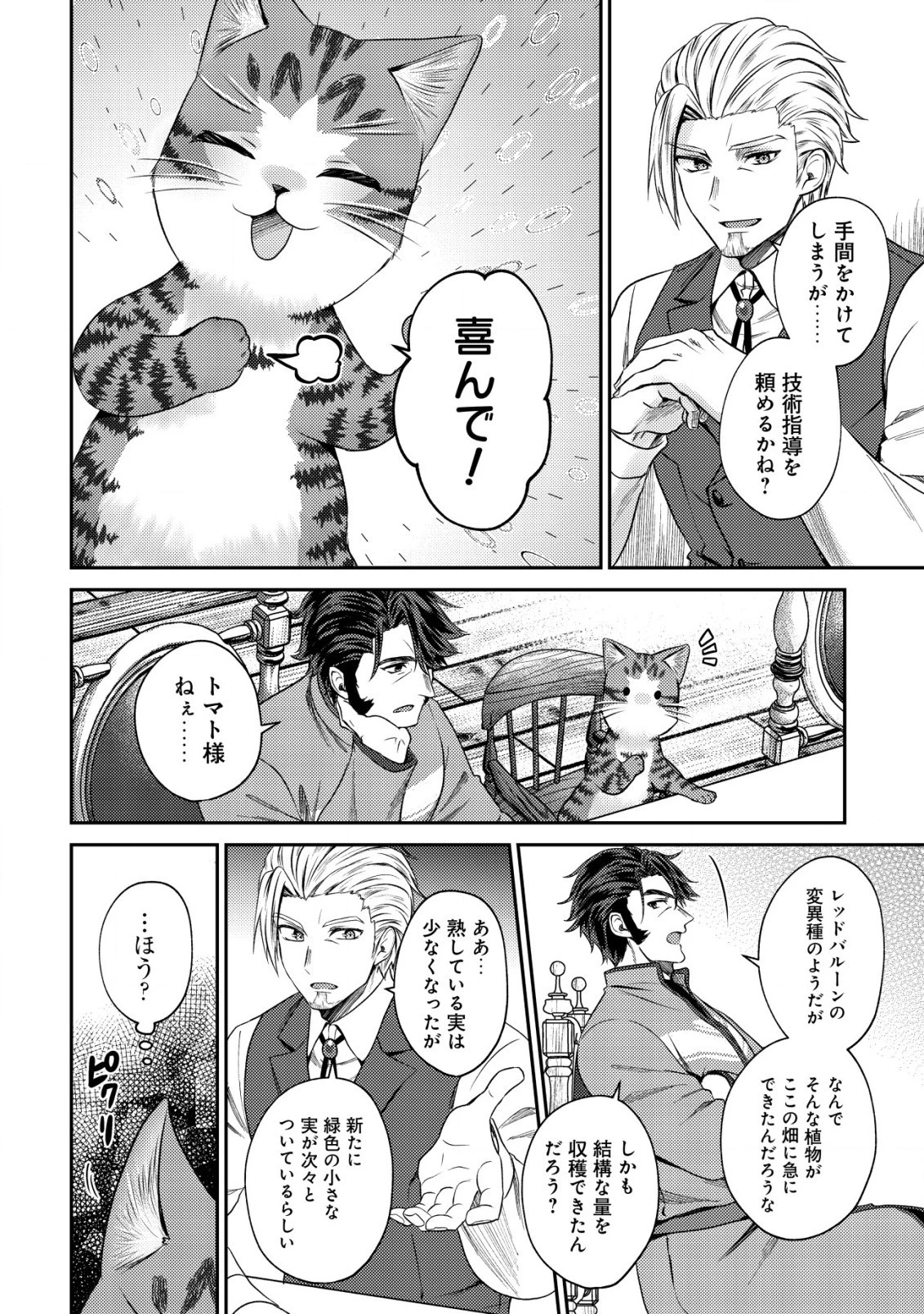 我輩は猫魔導師である～キジトラ・ルークの快適チート猫生活～ 第12.2話 - 4