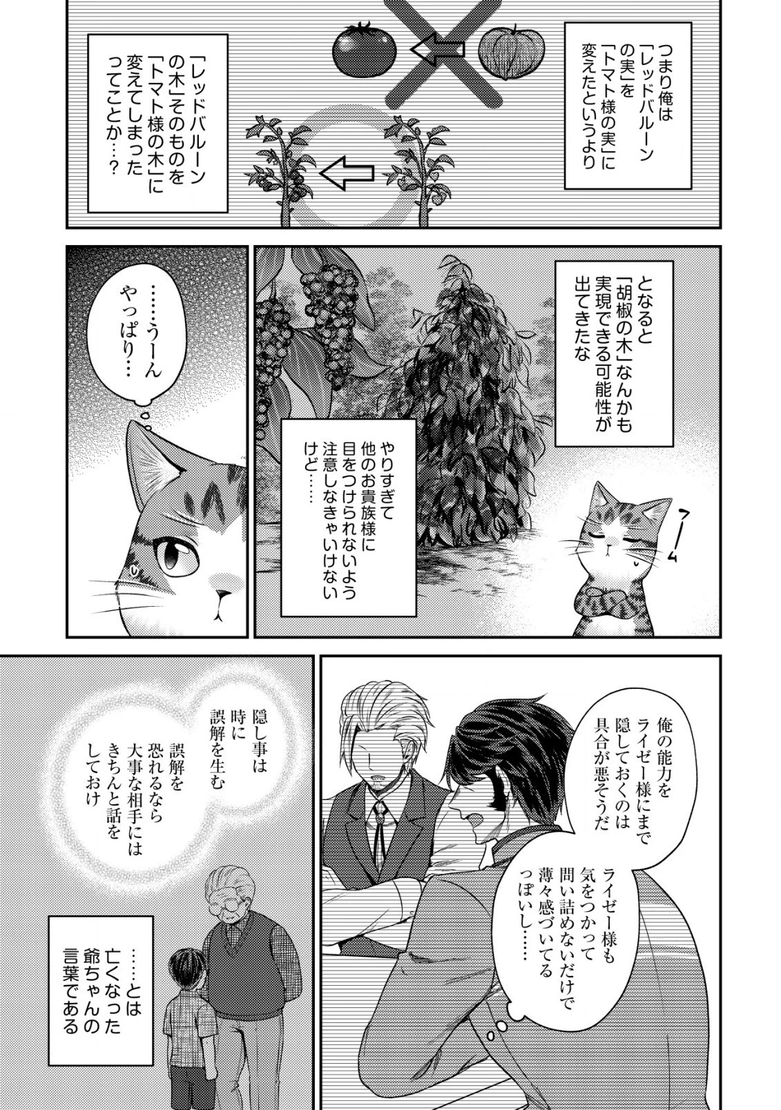 我輩は猫魔導師である～キジトラ・ルークの快適チート猫生活～ 第12.2話 - 5