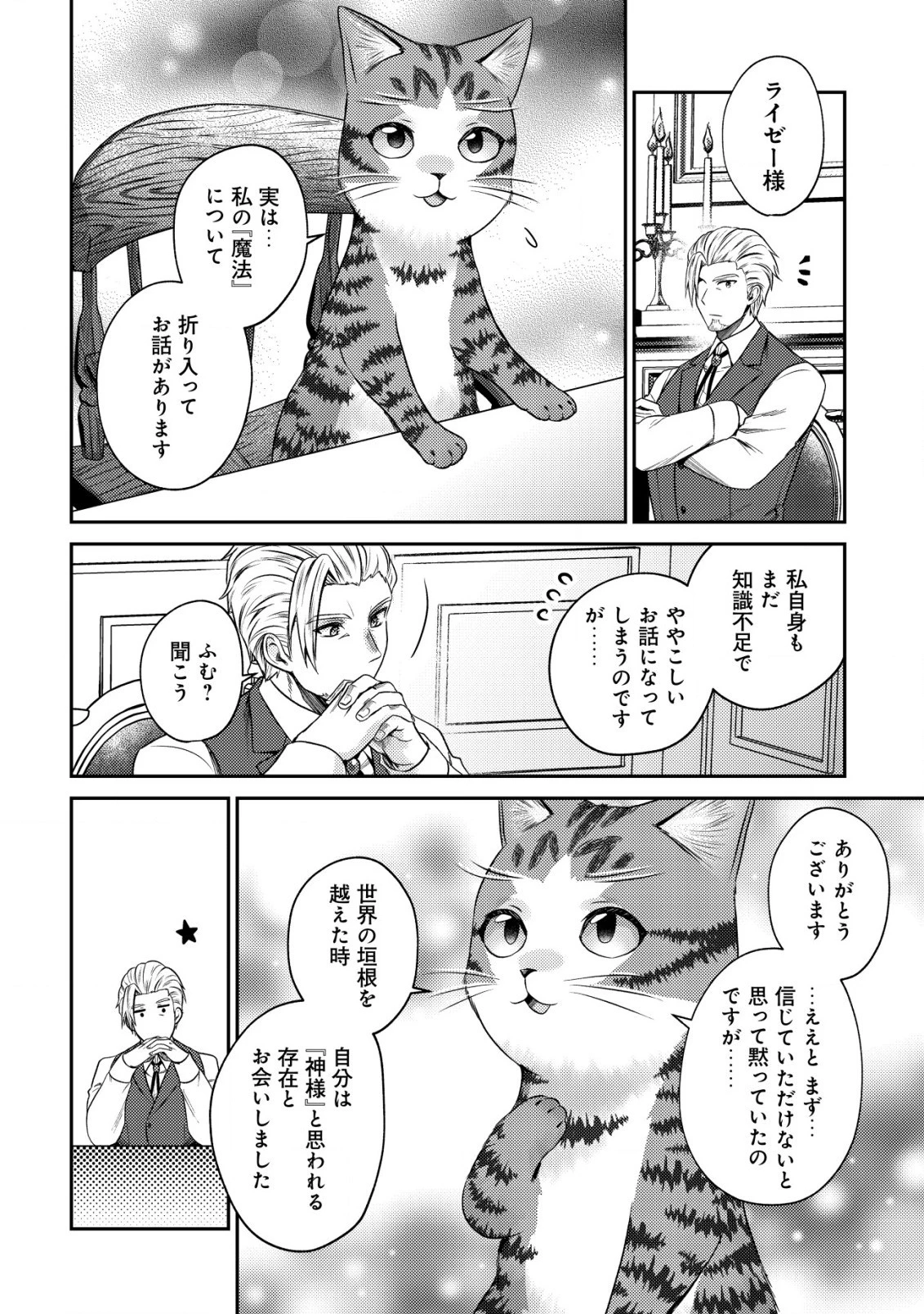 我輩は猫魔導師である～キジトラ・ルークの快適チート猫生活～ 第12.2話 - 6