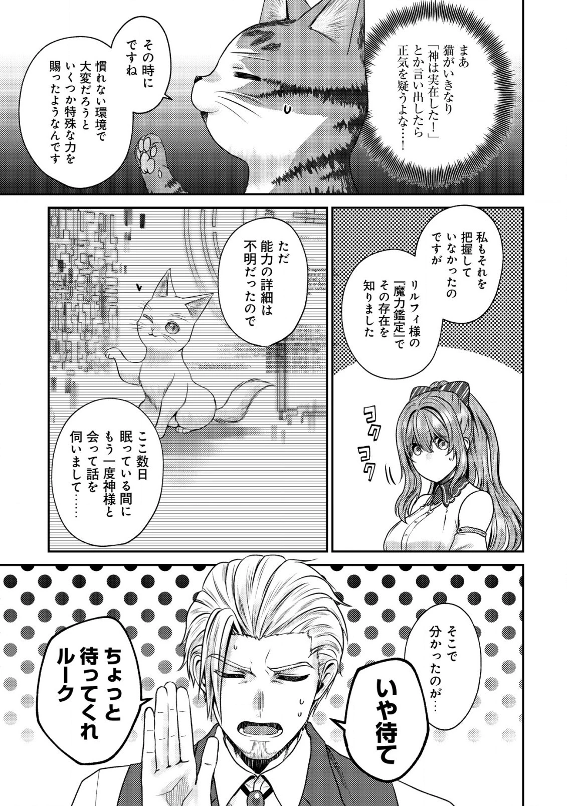 我輩は猫魔導師である～キジトラ・ルークの快適チート猫生活～ 第12.2話 - 7