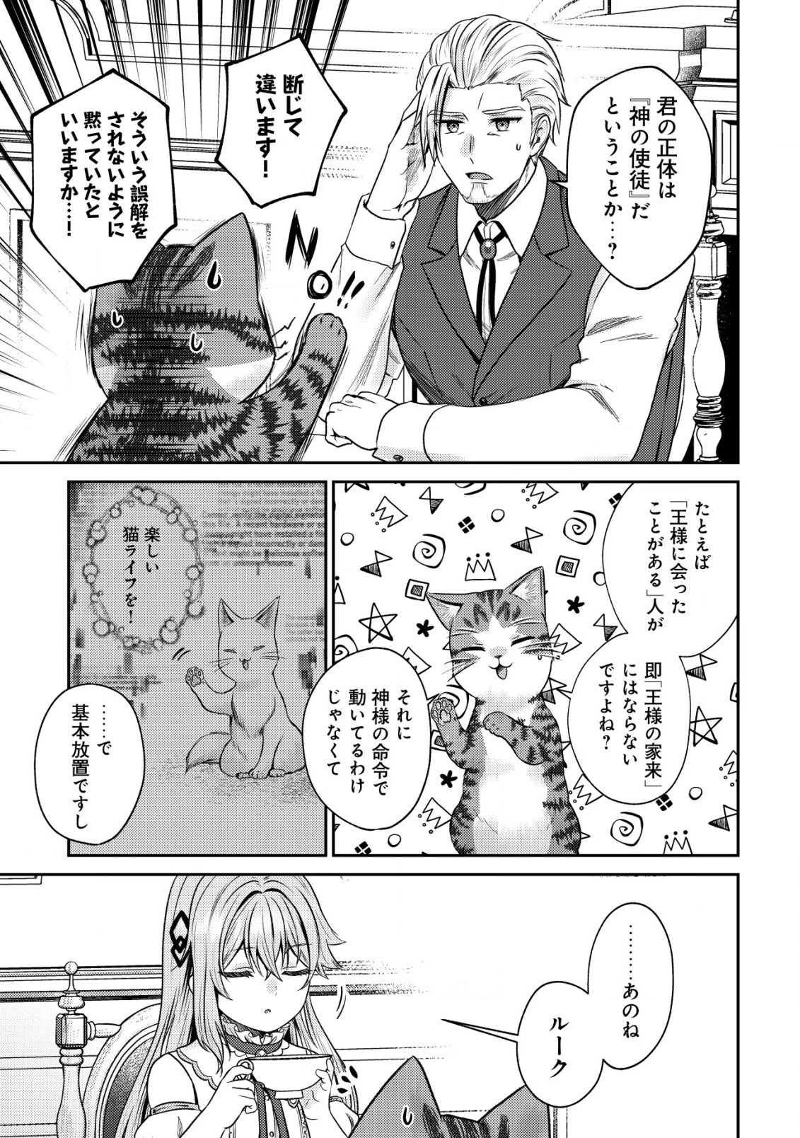 我輩は猫魔導師である～キジトラ・ルークの快適チート猫生活～ 第12.2話 - 9
